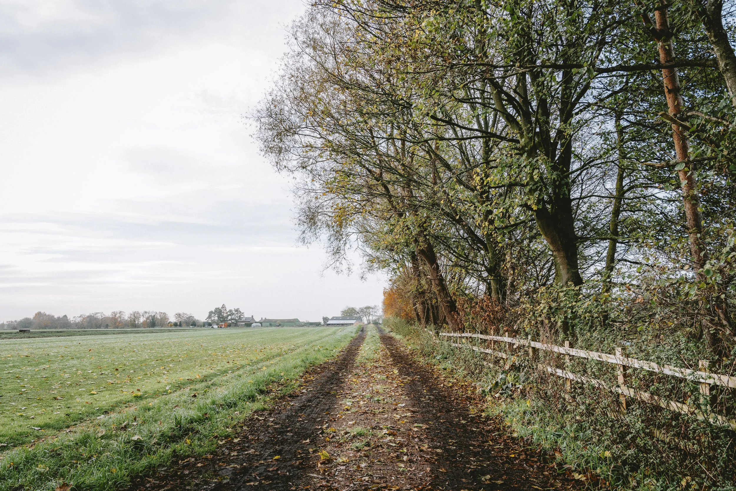 A dirt pathway running alongside a wooden fence with trees with sparse foliage on the right, and open fields on the left, under a cloudy sky.