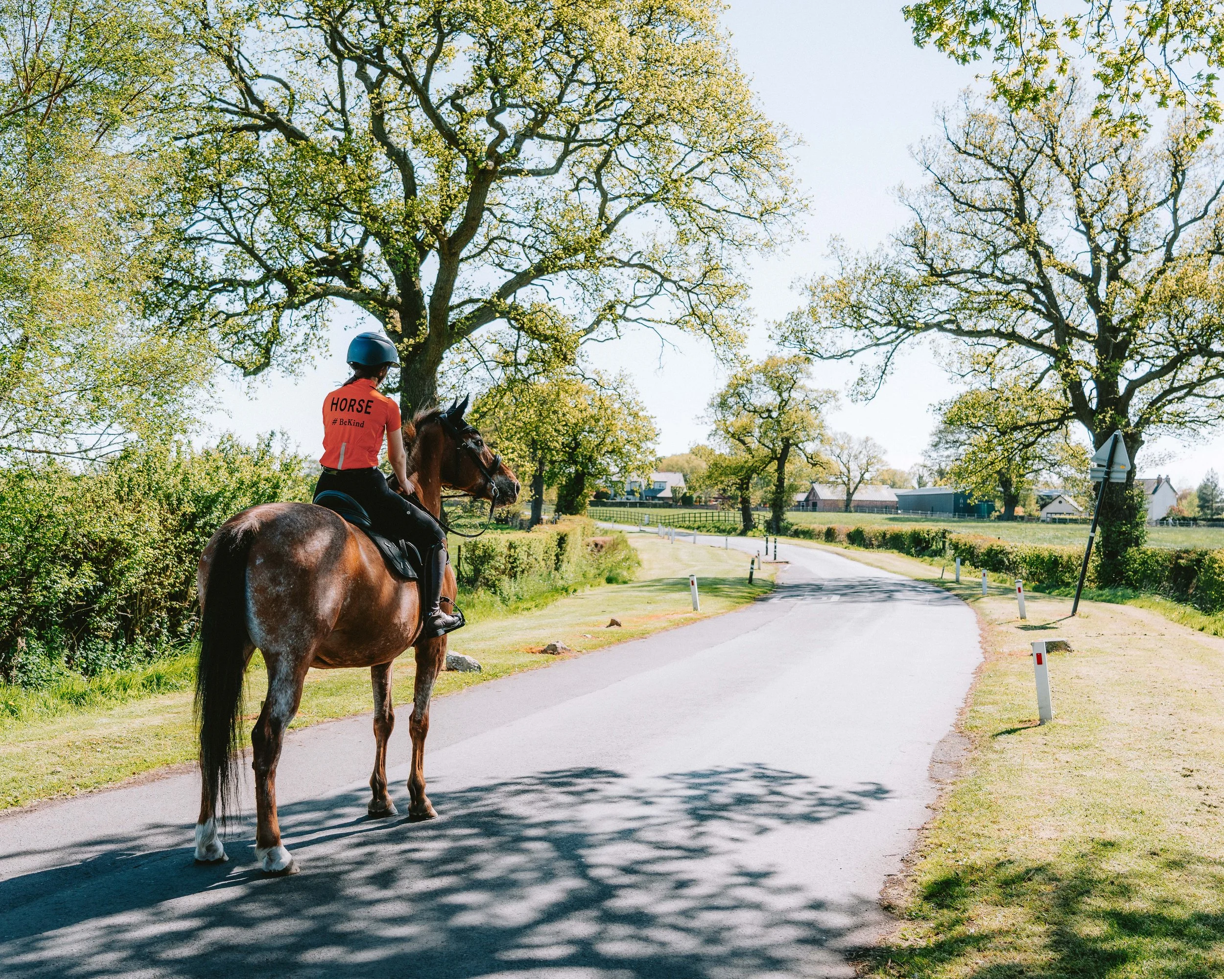 Person riding a horse on a paved trail, wearing a helmet and an orange shirt with the word 'HORSE' on the back, surrounded by greenery and trees in a rural area.