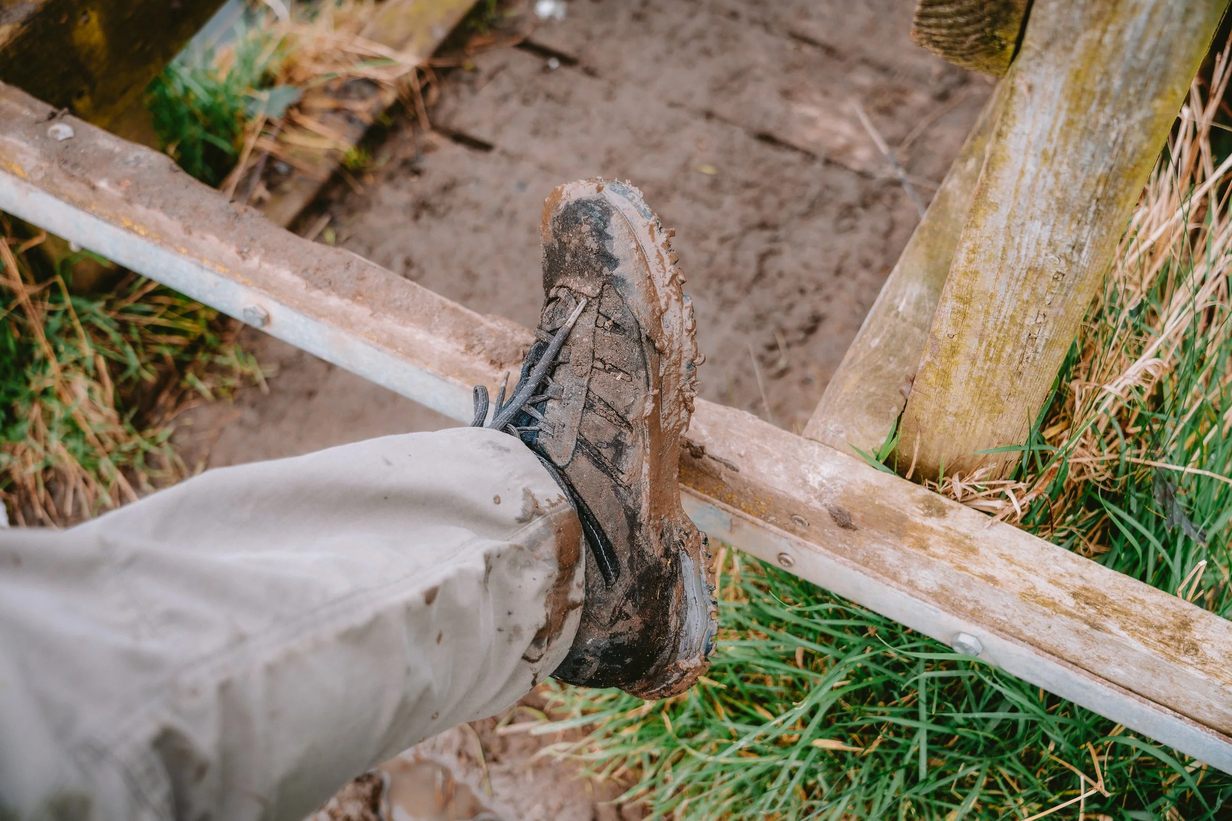 Close-up of a muddy hiking boot on a wooden bridge, viewed from above, with grass and dirt below.