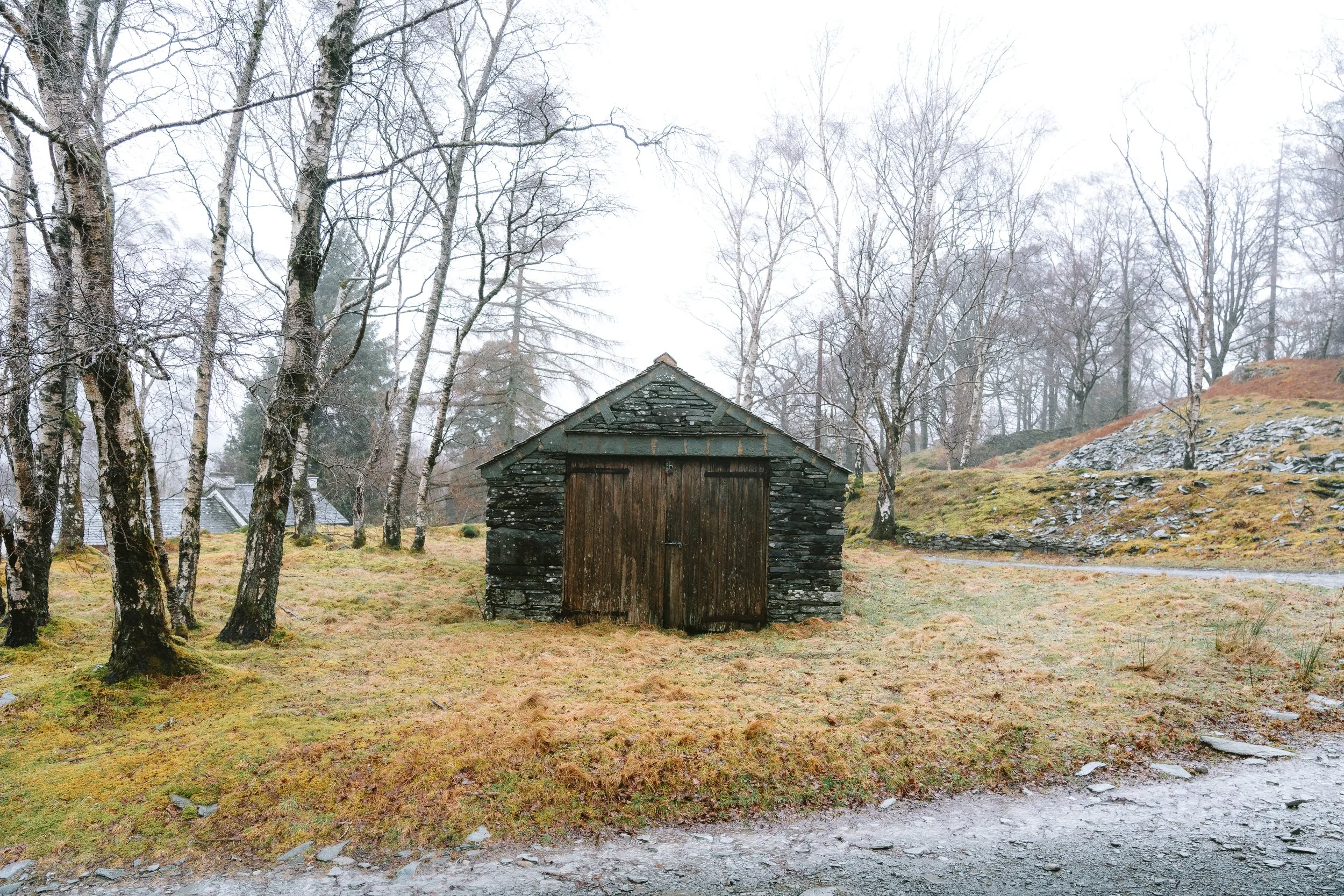 A rustic wooden shed in a forested area with leafless trees, grassy ground, and a gravel path in the foreground.