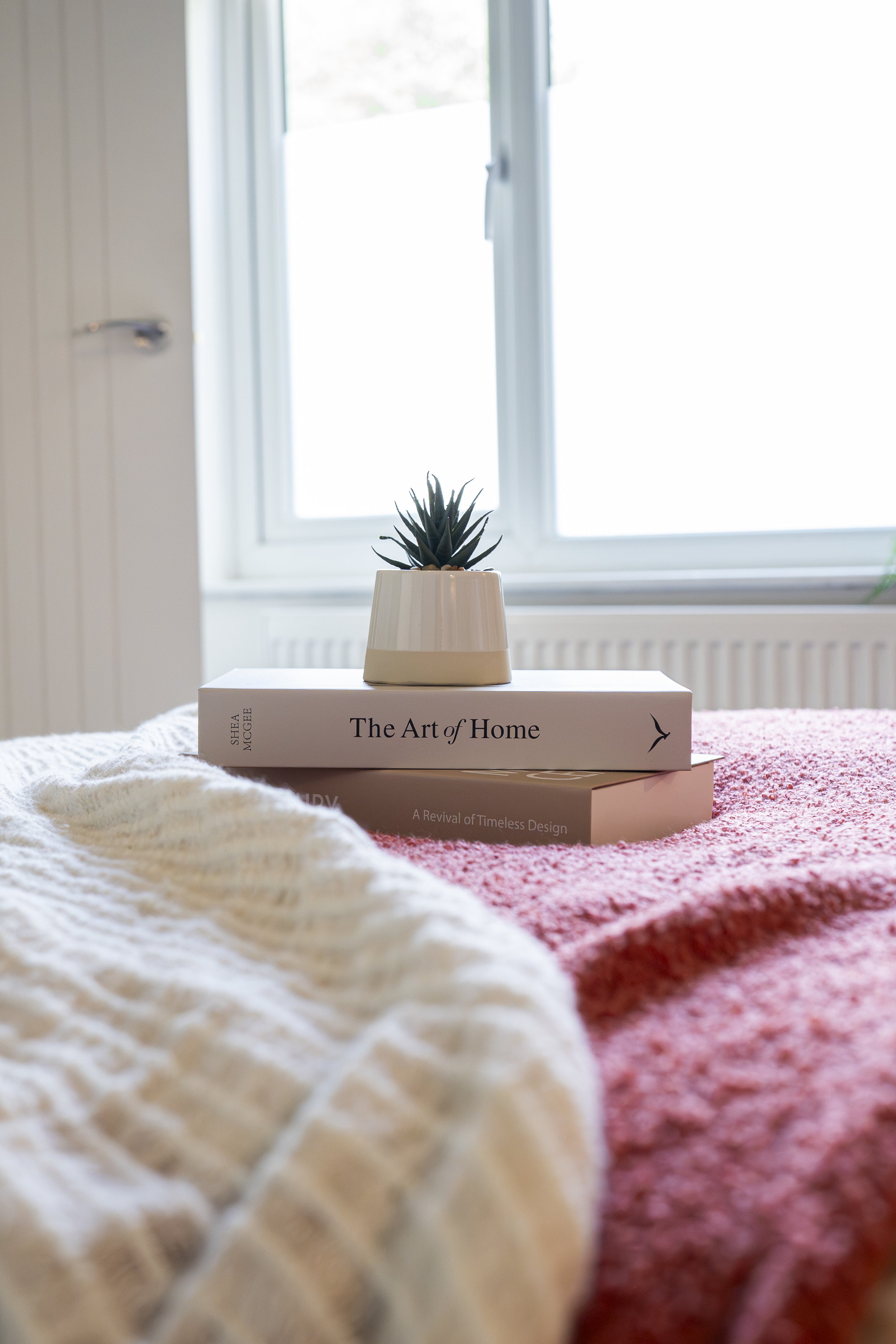 Closed window with white frame overlooking a bright outdoor scene, with a small potted succulent plant on a stack of books on a textured pink and beige blanket.