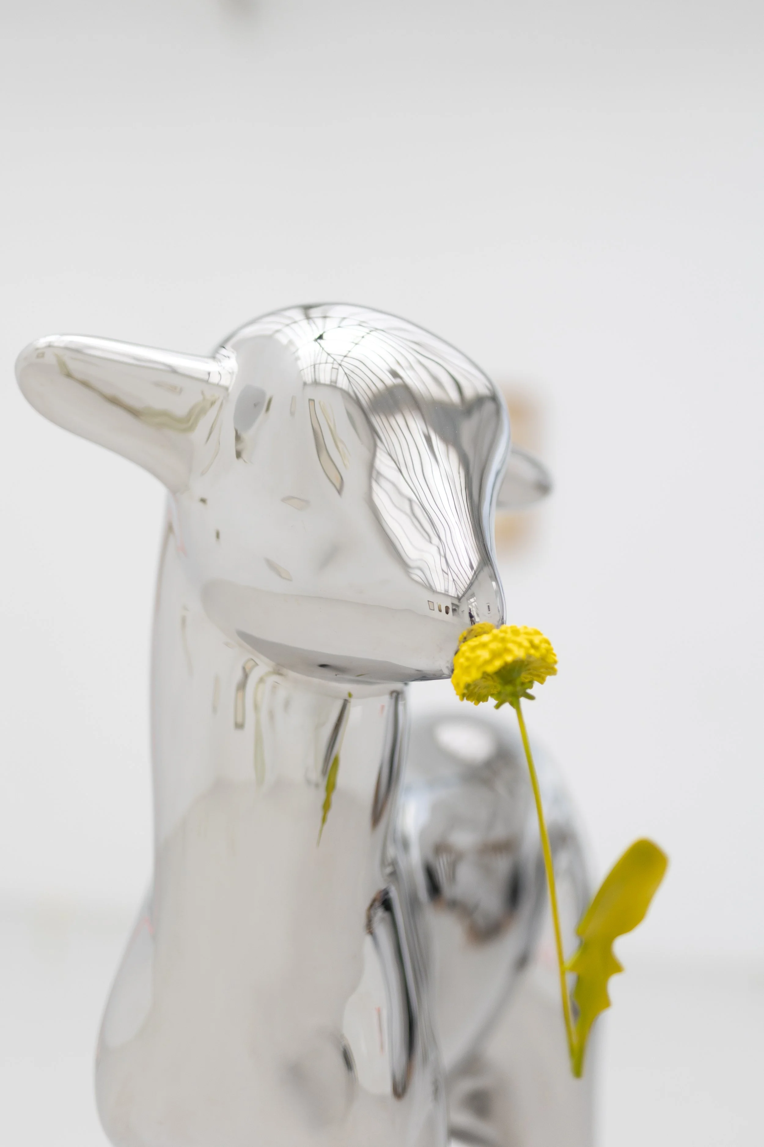 eiklid/rusten at the Inaugural Art Cologne Palma Mallorca