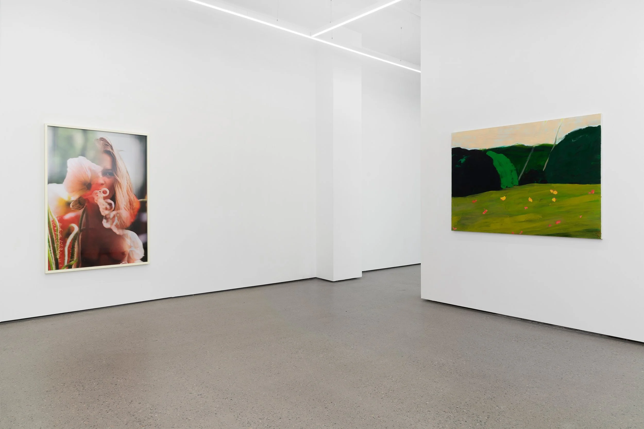 Interior view of an art gallery with white walls, featuring a photograph of a girl with flowers on the left and a landscape painting with green hills and trees on the right.