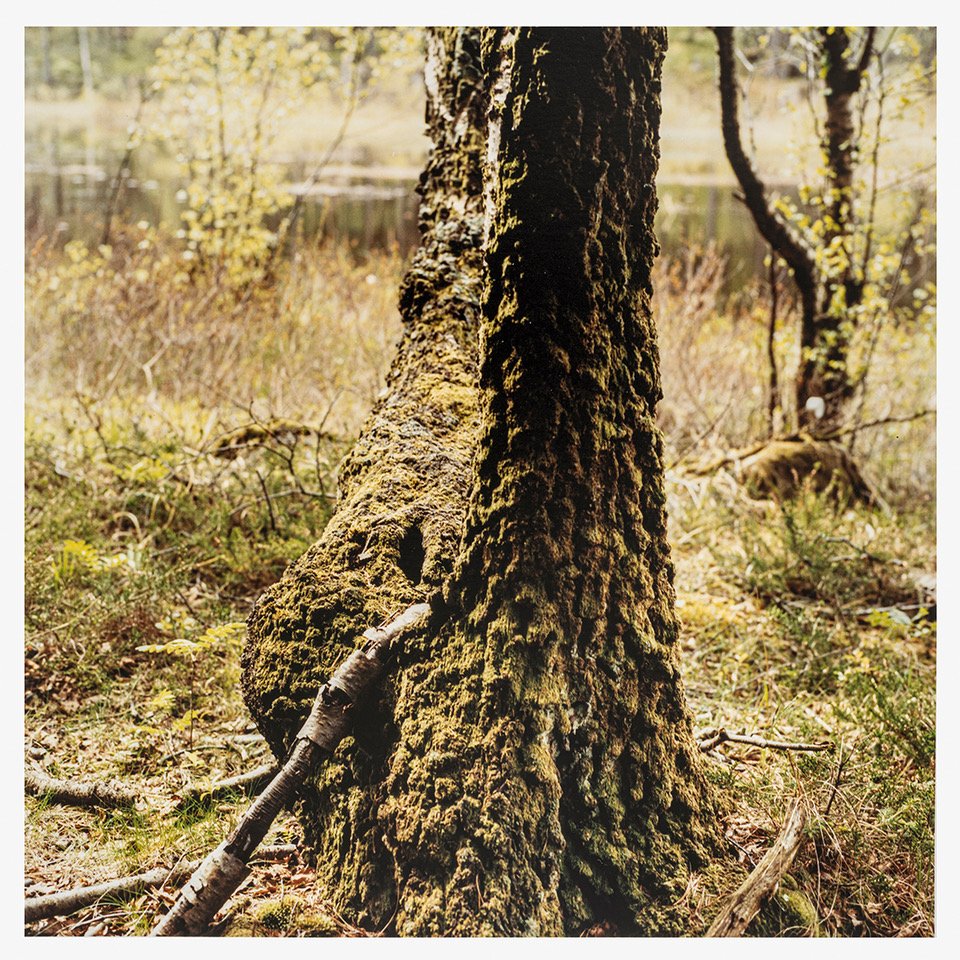        Mette Tronvoll
       21 May - 13 June, 2026