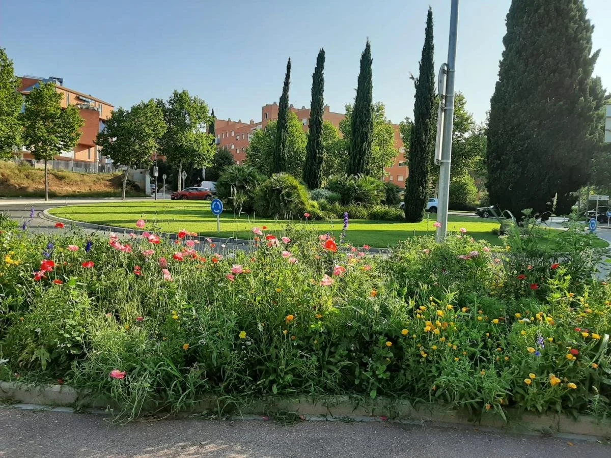 Roundabout in Gaudi neighbourhood showing plant biodiversity (flowering plants, perennial and evergreen trees)