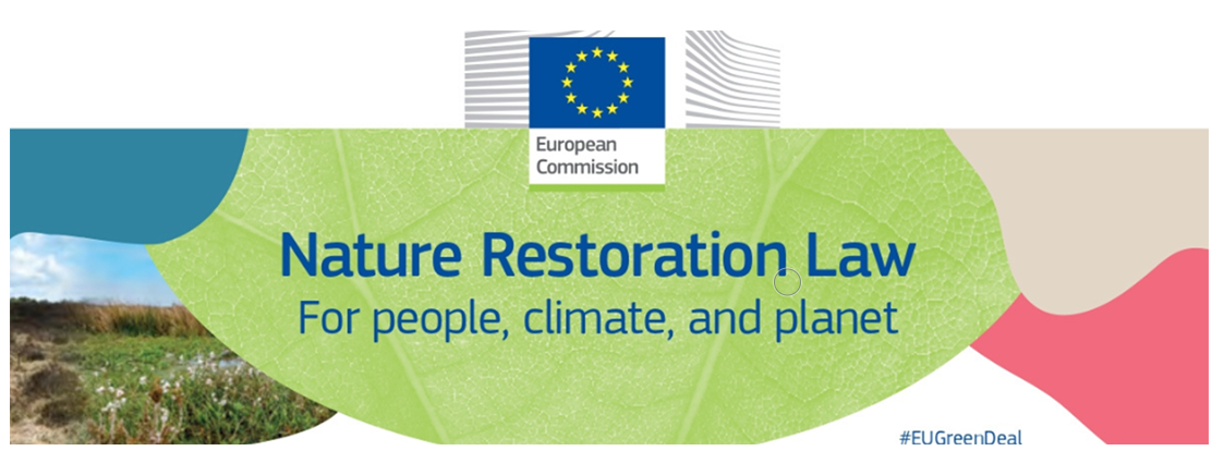 Implementing EU Nature Restoration Law