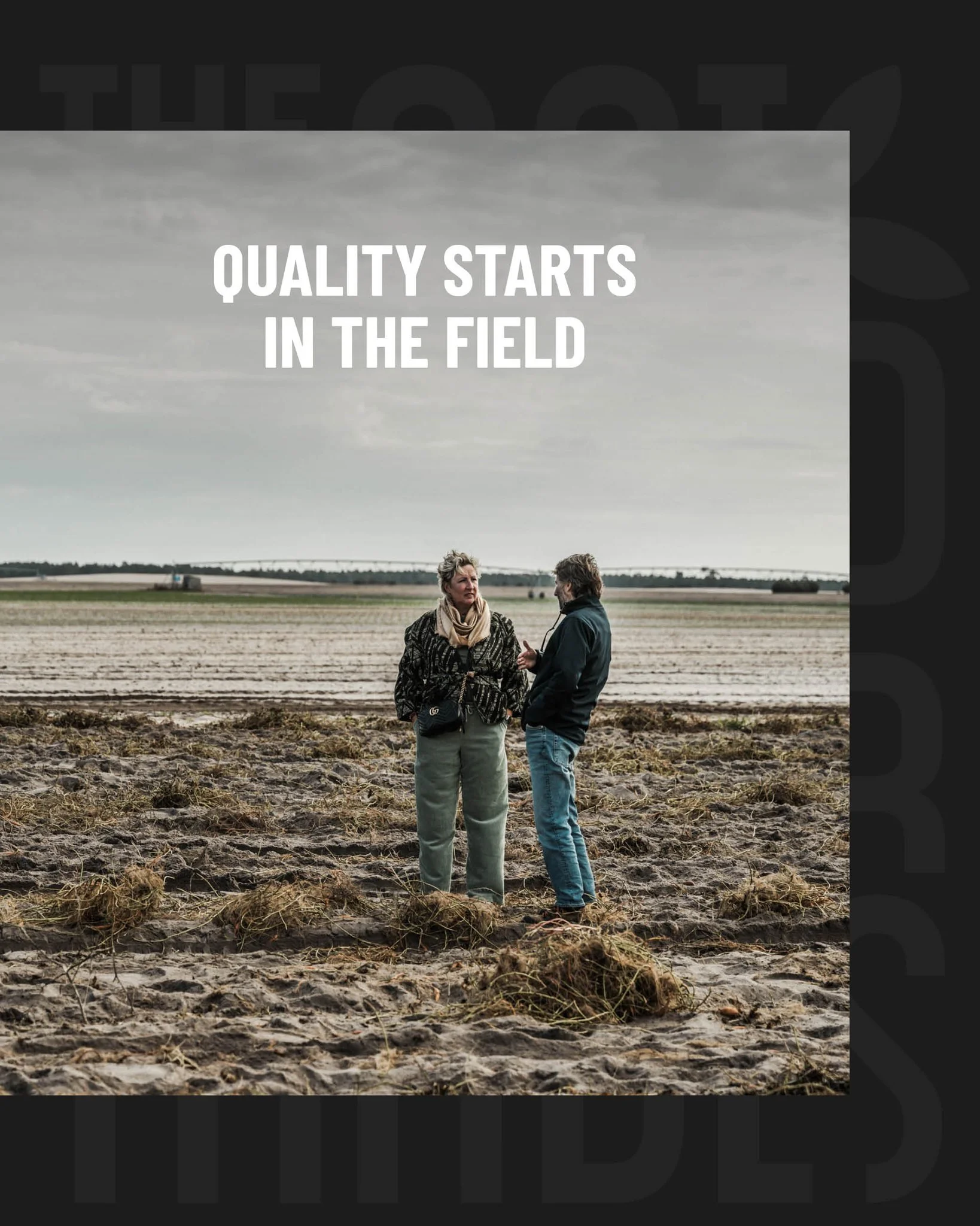 Nothing beats checking quality at the source. We visit our growers regularly to monitor growth, consistency and freshness: right where it all begins. 🌱

👉 Quality you can trust, straight from Portugal&rsquo;s fields.

#PlantBasedTraders #FieldVisit