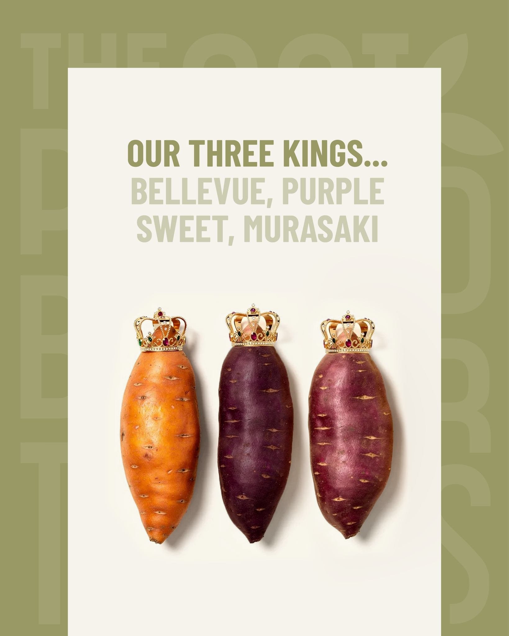 👑 On this Three Kings Day, we crown our favourites.
Orange, purple and white sweet potatoes: each with its own character, flavour and application.

From vibrant Bellevue to bold purple and versatile Murasaki, these three varieties reign supreme in q