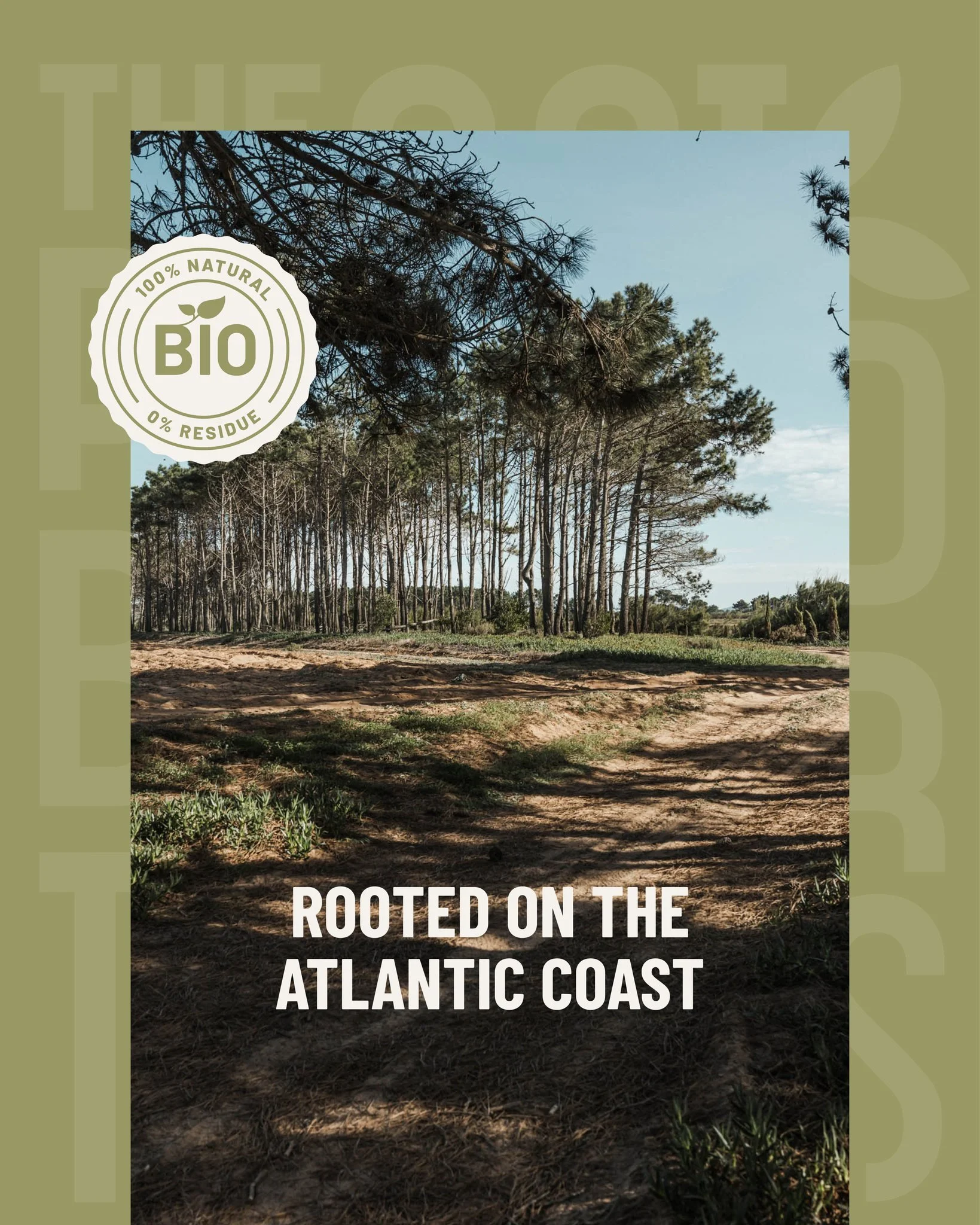 Our home base lies along Portugal&rsquo;s Atlantic coast, where fertile soils, mild temperatures and fresh ocean air shape the landscape and our crops. 🌱 This region offers the perfect conditions for growing high-quality produce, with consistency, f