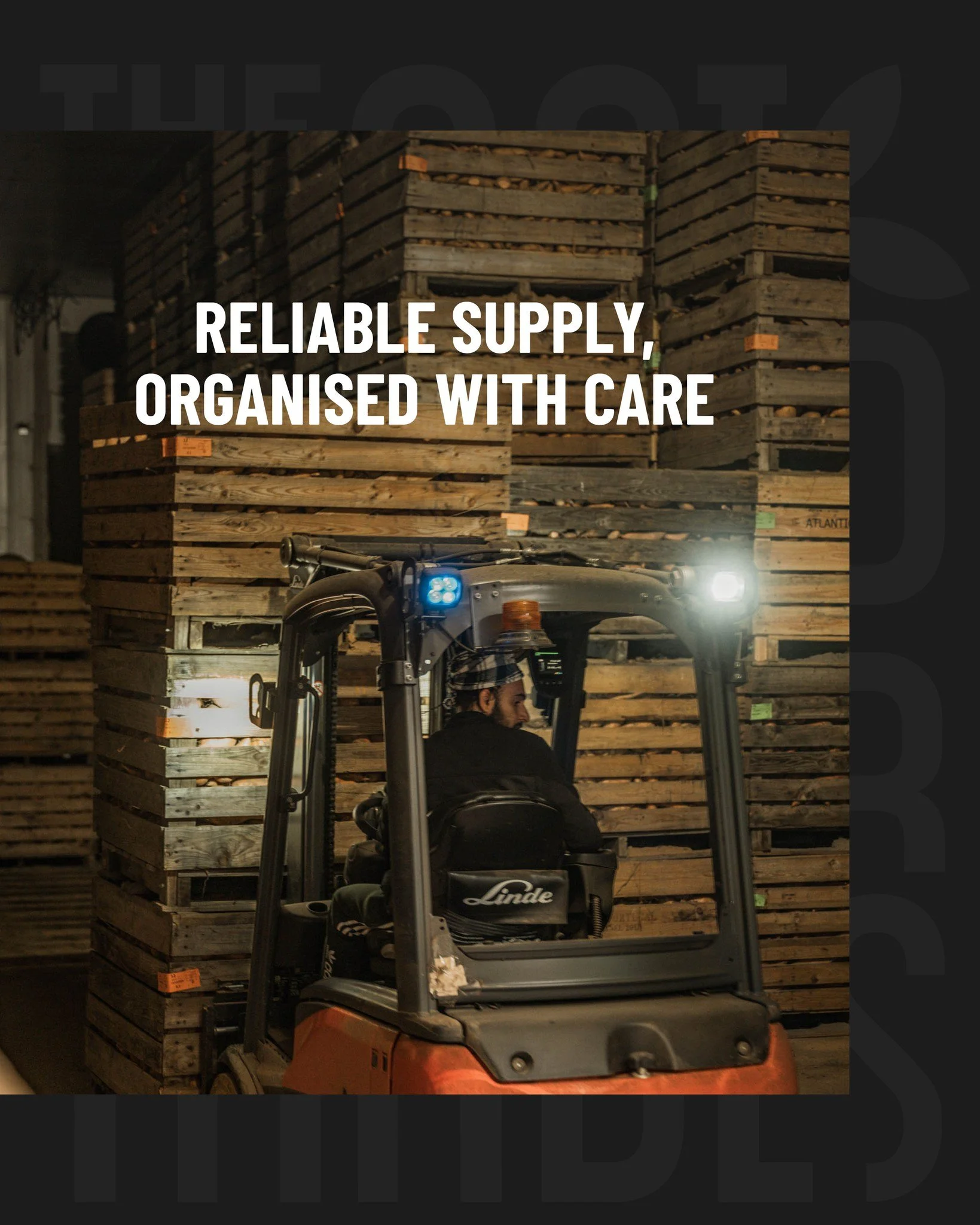 From storage to packaging, every step matters. Our sweet potatoes are carefully handled and prepared before they continue their journey to retailers and partners across Europe. 

At The Plant Based Traders we manage the entire process, from sourcing 