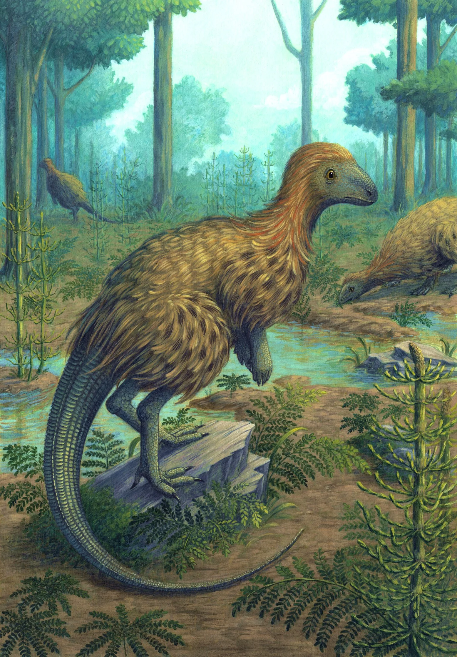 A painting of a Kulindadromeus zabaikalicus, a prehistoric scene featuring a large, bird-like dinosaur with a long tail and feathers, standing on a forest ground with lush green plants and trees in the background.