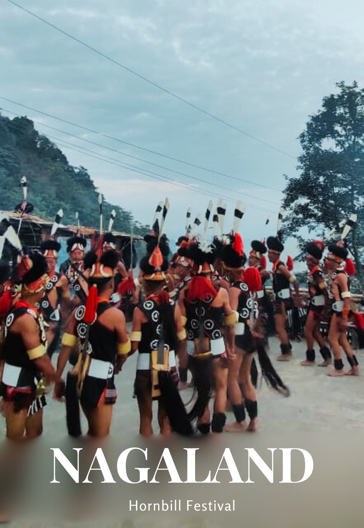 nagaland.png