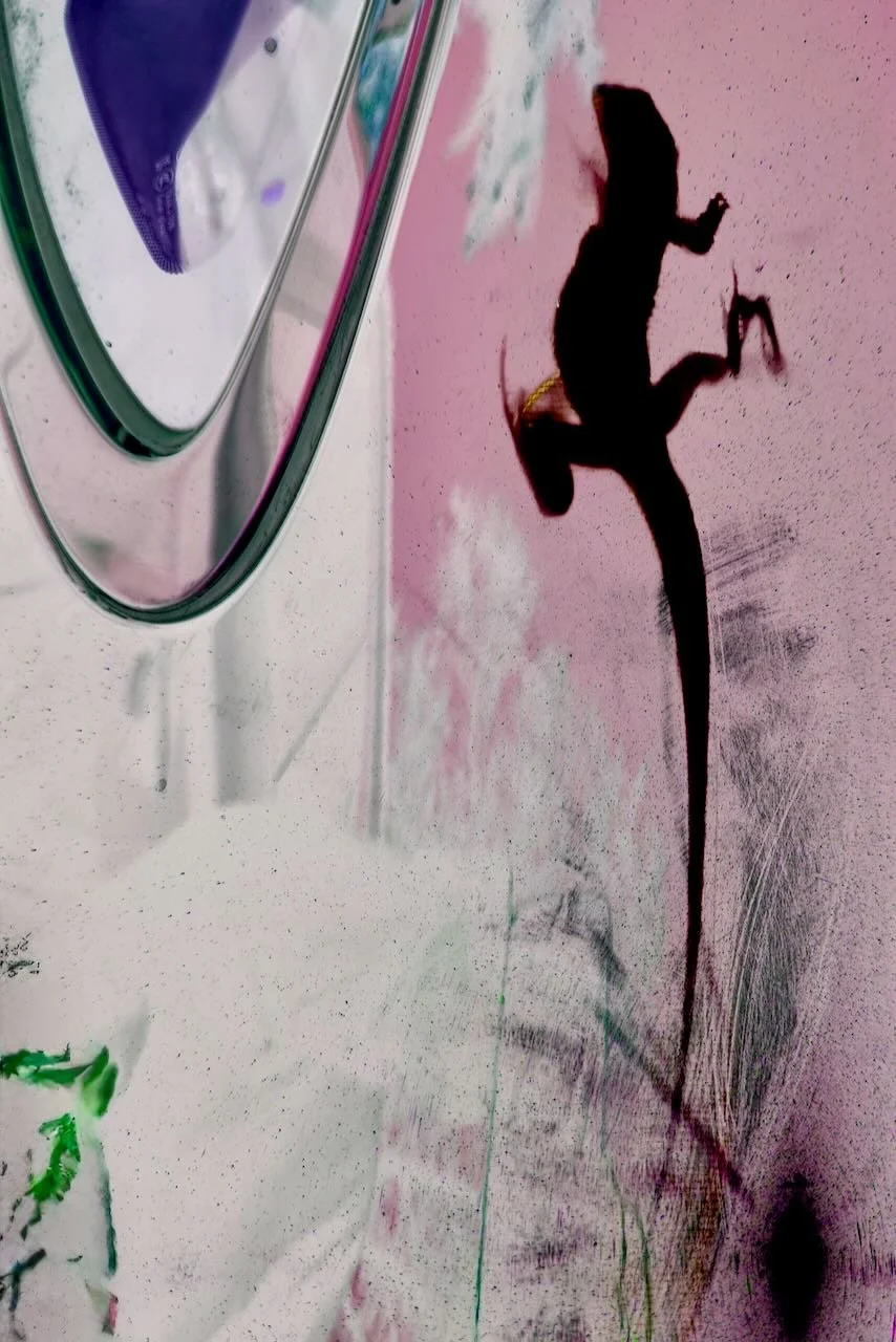 Ecothermography |  Digital File Format as Shown 3:2 (H:W)
 
 
  
   
    ✅ Add to Set List
   
 