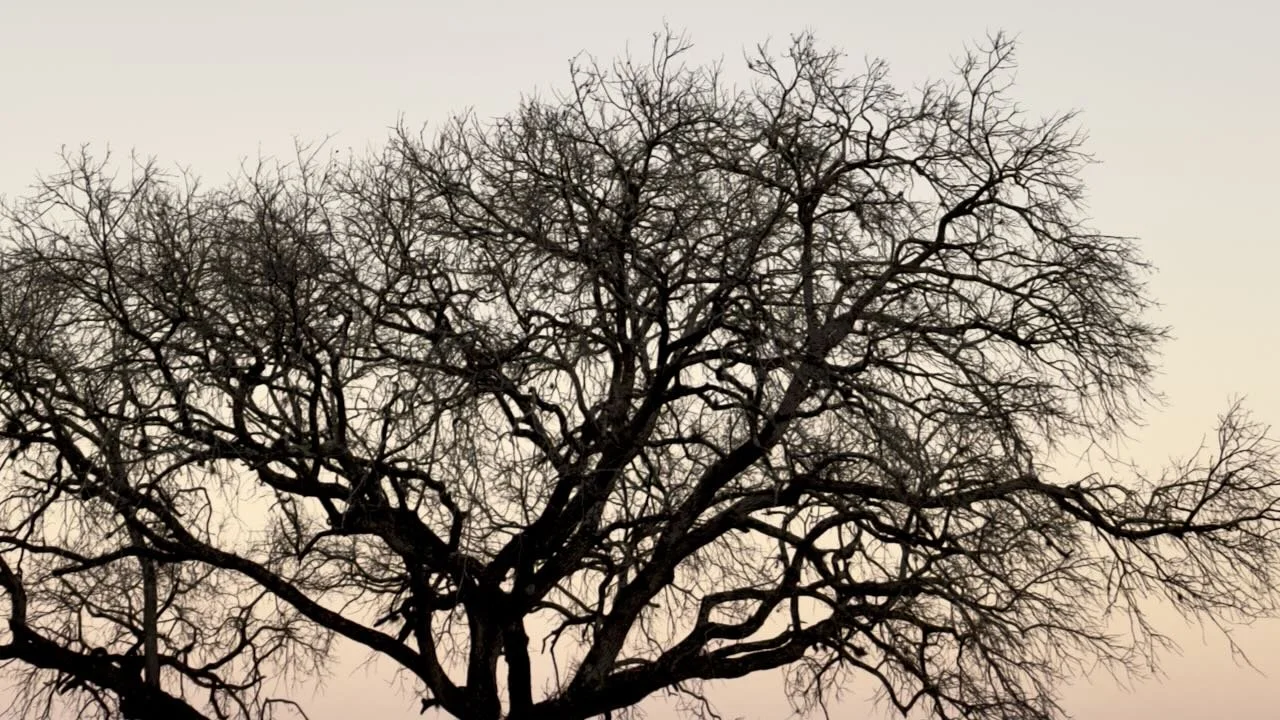 Network | Digital File Format as Shown 4:3 (H:W) | Available in other Format Ratios
 
 
  
   
    ✅ Add to Set List
   
 