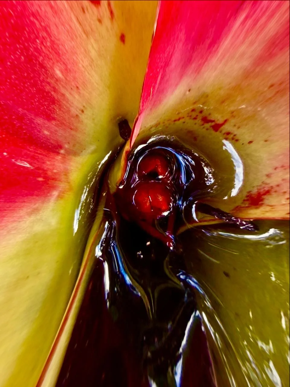 Birth | Digital Format Shown 3:2 (H:W) | Available in other Aspect Ratios & Colors
 
 
 
   
    ✅ Add to Set List
   
 