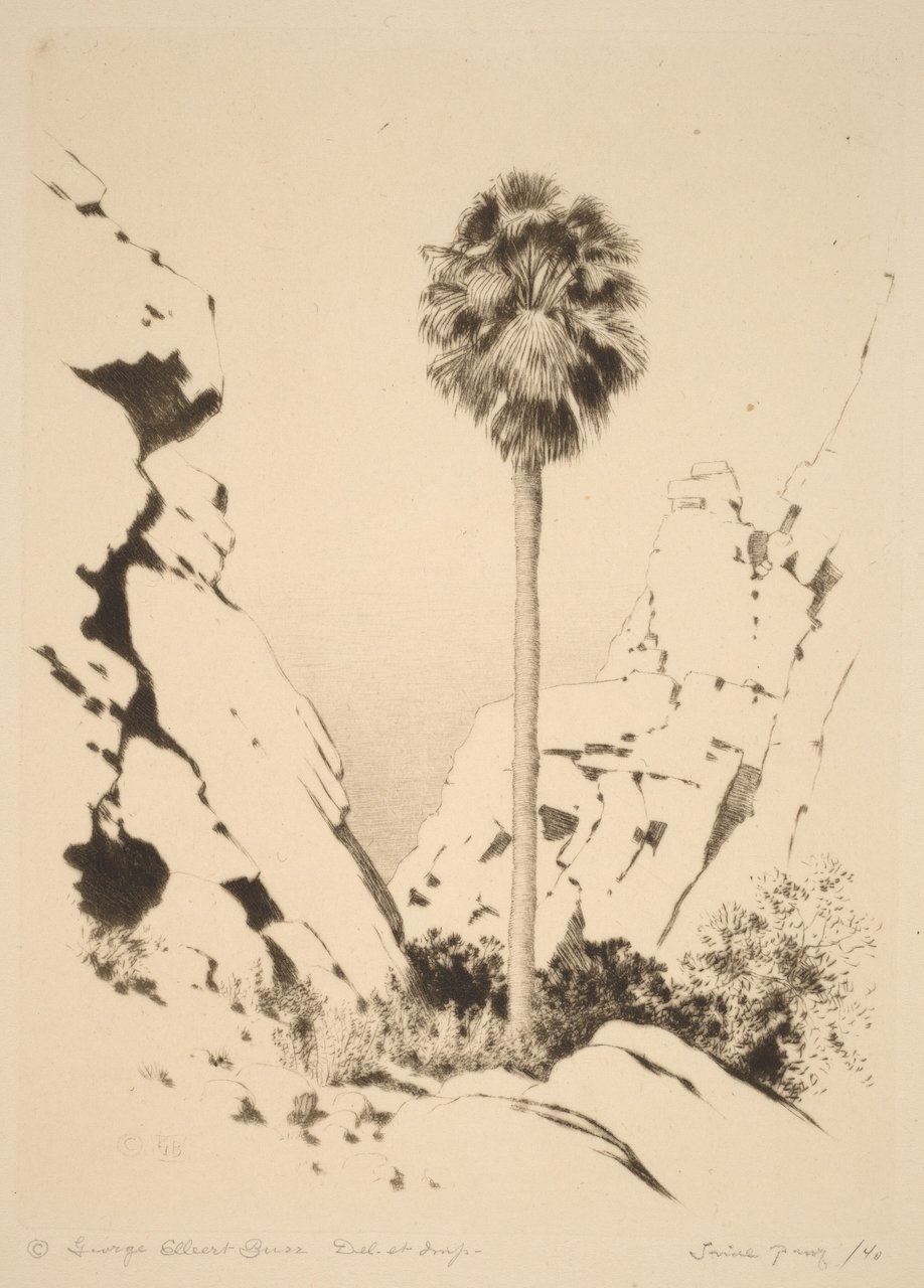 Palm Canyon No. 1 | DIGITAL FILE | Format 4:3 (H:W)  |  Public-Domain Painting | Curated and Production-Prepared by ArtZentury | Available in other Hi-Res Format Ratios & Colors
 
   
    Add to Set List
   
  