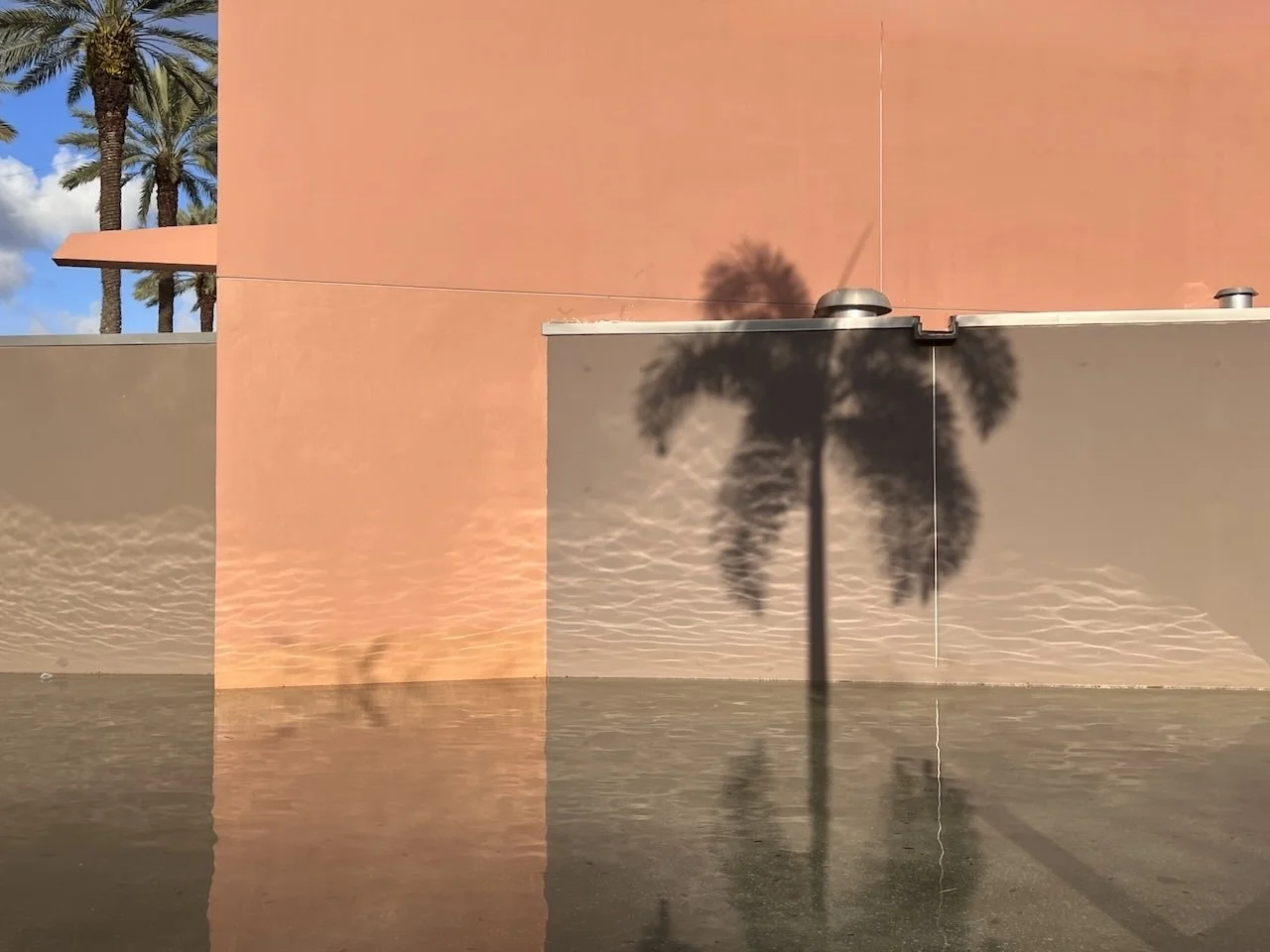 Tropical Encroachment | Digital Format Shown 3:4 (H:W) | Available in other Format Ratios & Colors
 
 
 
   
    ✅ Add to Set List
   
 