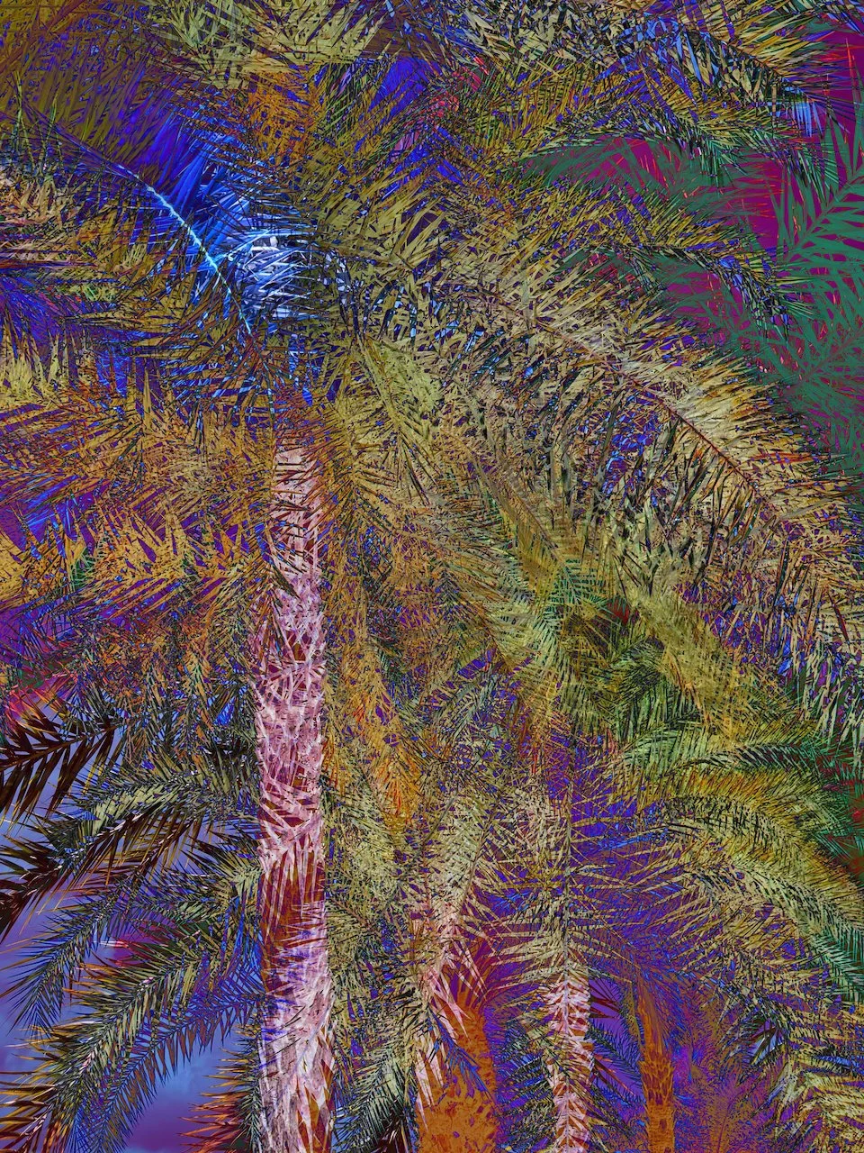 Palm Mathematics | Tropical Consciousness Series |  Digital File Format as Shown 4:3 (H:W) | Available in other Format Ratios & in Color
 
 
  
   
    ✅ Add to Set List
   
 