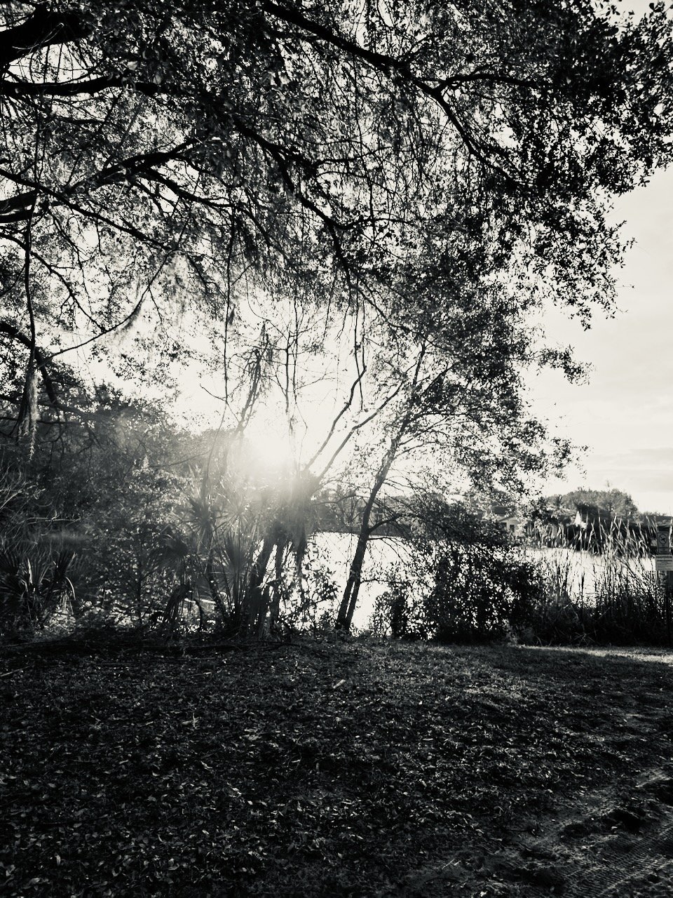 Sunrise or Sunset | Digital File Format as Shown 4:3 (H:W) | Available in other Format Ratios & in Color
 
 
  
   
    ✅ Add to Set List
   
 