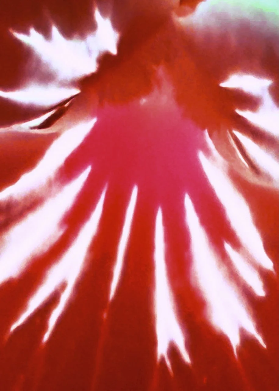 Red Tiger | 5:4 (H:W) | Available in Various Formats & Color
 
 
  
   
    ✅ Add to Set List
   
 