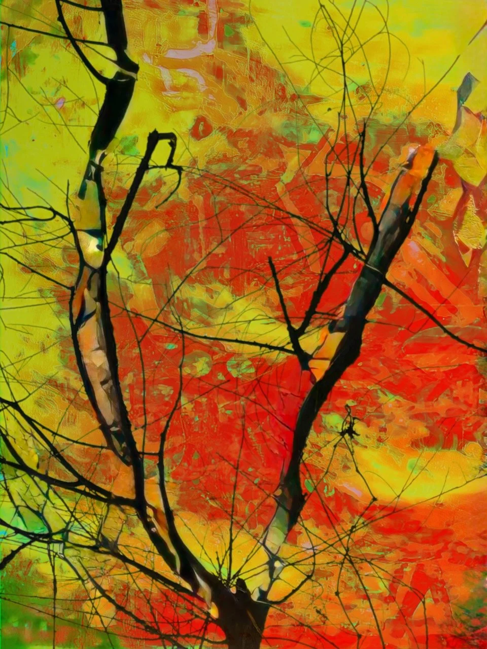 Between Nature and Abstraction  | Digital Format Shown 4:3 (H:W) | Available in other Aspect Ratios & Colors
 
 
 
   
    ✅ Add to Set List
   
 