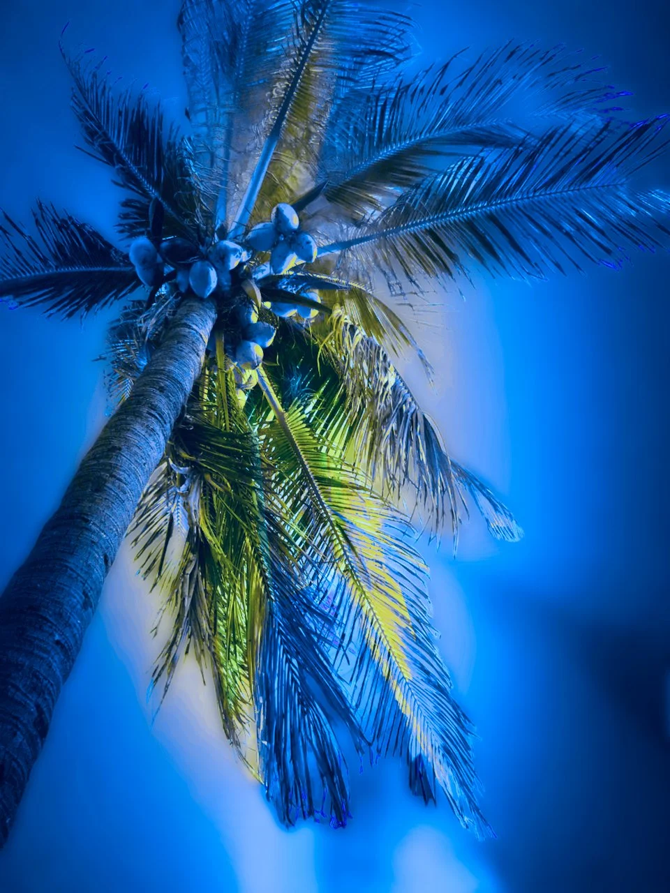 Tropic Noir #3 | Emotional Weather Series |  DIGITAL FILE | Format 4:3 (H:W)  |  CUSTOMIZABLE IN OTHER FORMATS AND COLORS
 
   
    Add to Set List
   
  