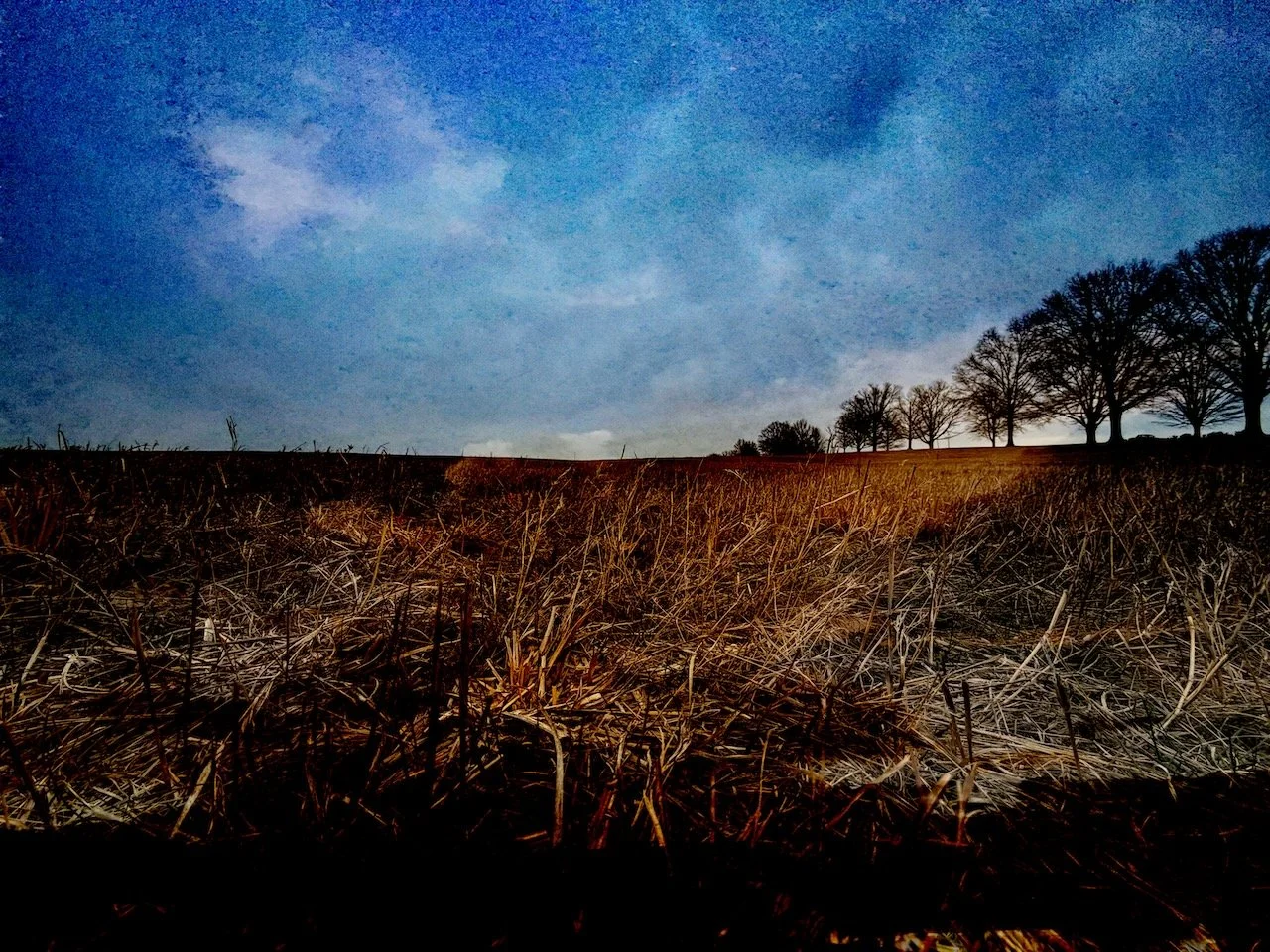 Imaginary Valley Field  | Digital Format Shown 2:3 (H:W) | Available in other Aspect Ratios & Colors
 
 
 
   
    ✅ Add to Set List
   
 