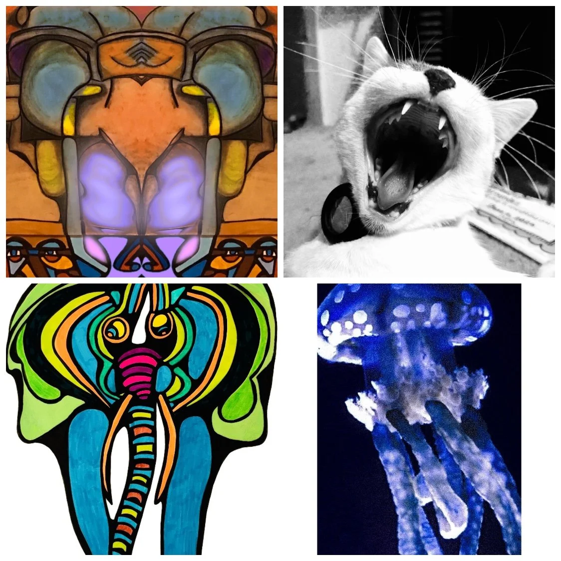 Animals - Photorealism | Figurative Abstracts | Impressionism | Black | White