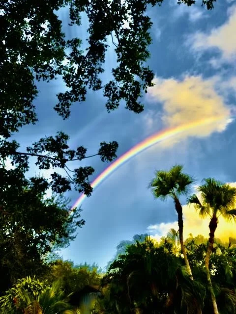 Rainbow | Digital File Format as Shown 4:3 (H:W) | Available in other Format Ratios
 
 
  
   
    ✅ Add to Set List
   
 