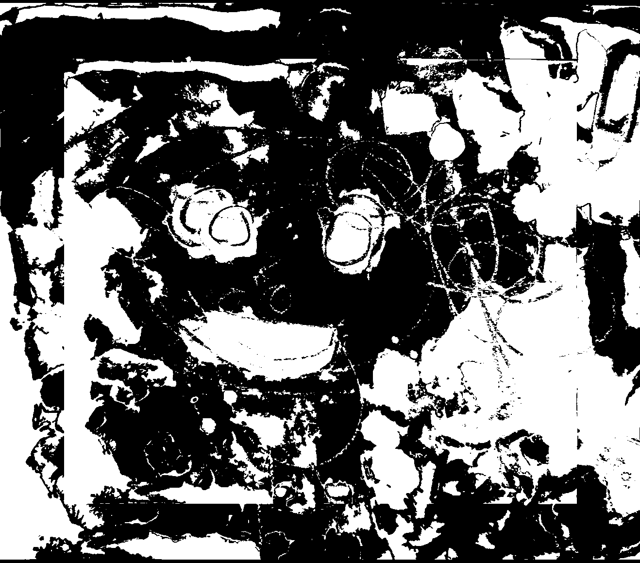 KD007B - Blond Child - Black White.png