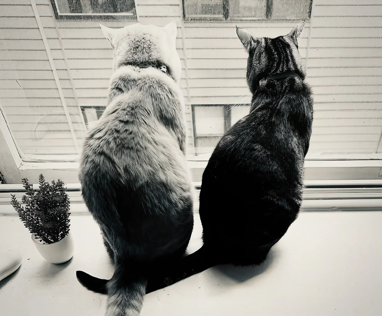 Enjoying the Moment | Digital Aspect Ratio Shown in 5:6 (H:W) | Available in other Format Ratios & in Color
 
 
 
   
    ✅ Add to Set List
   
 