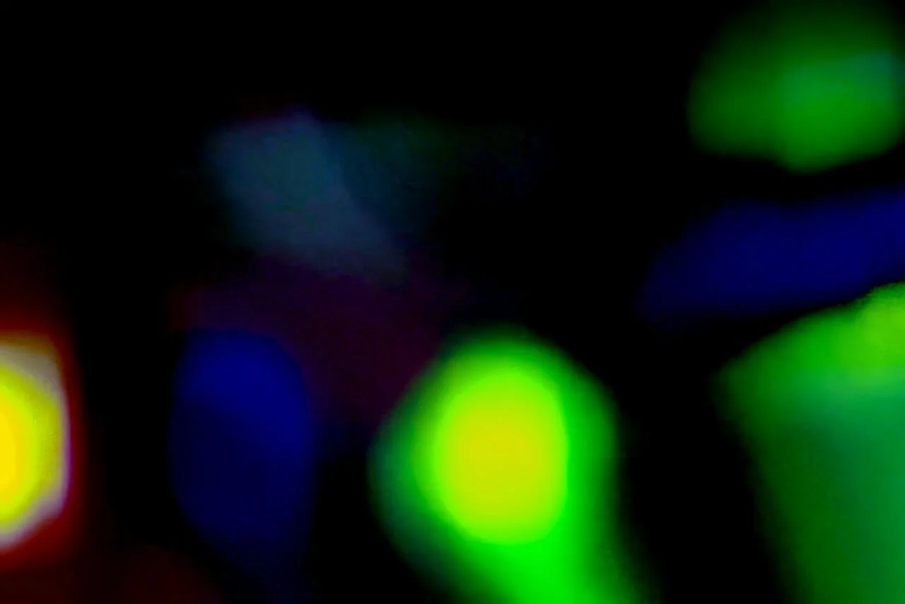 Bulbs Noir | Scan Series | 2:3 (H:W) Digital Aspect Ratio | Available in Various Digital Aspect Ratios 
 
 
  
   
    ✅ Add to Set List
   
 