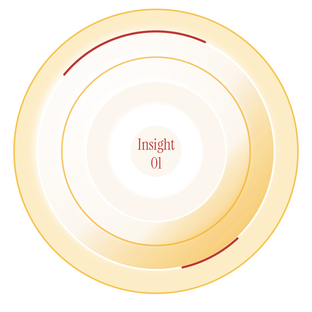A circular diagram with concentric rings. The center circle contains the text 'Insight 01' in red. The surrounding rings are shaded in gradient shades of yellow and white, with some red accents.
