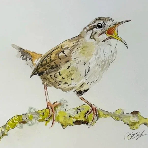Illustration with Watercolor