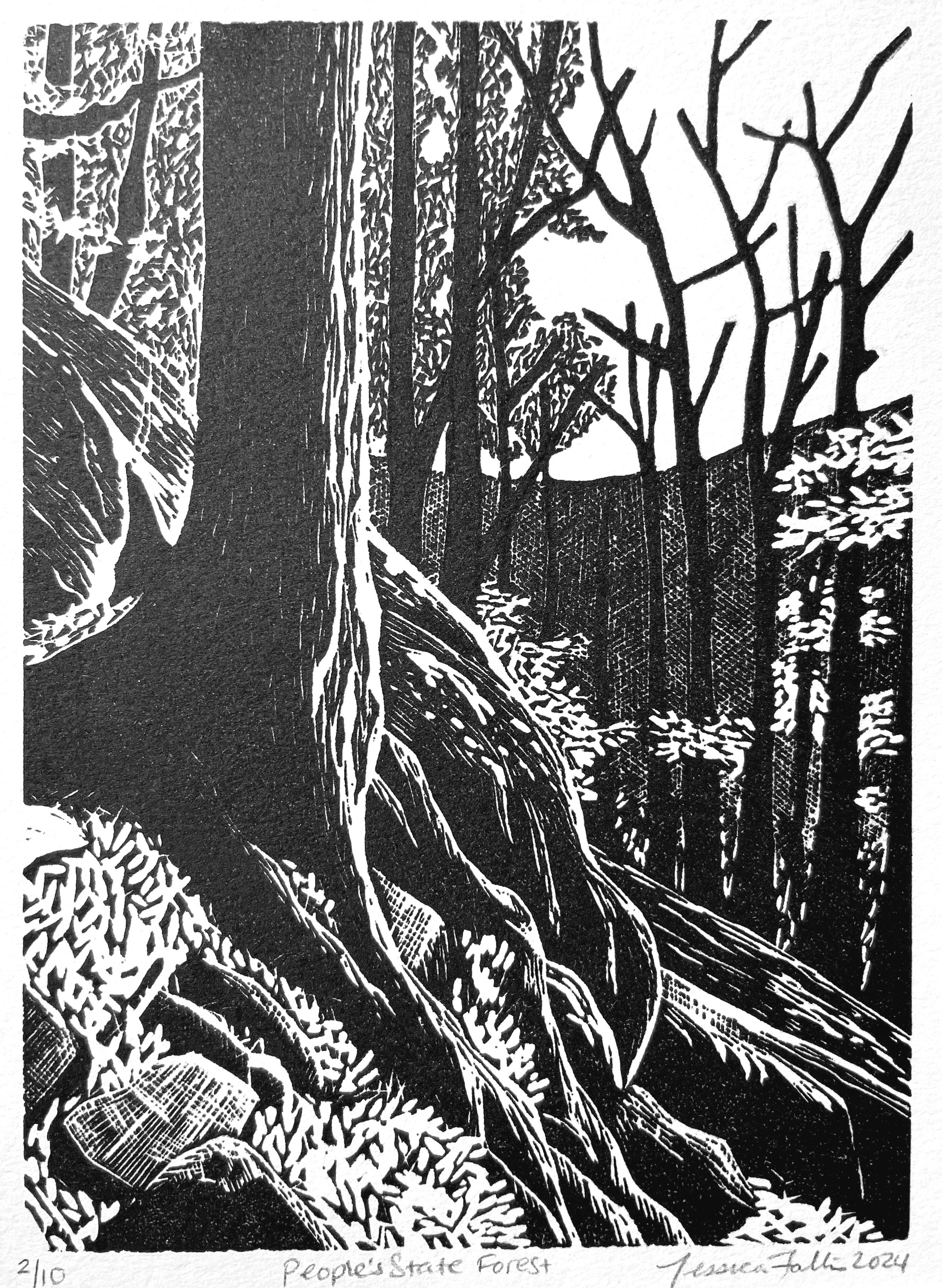 Jessica Fallis_Peoples State Forest.jpg