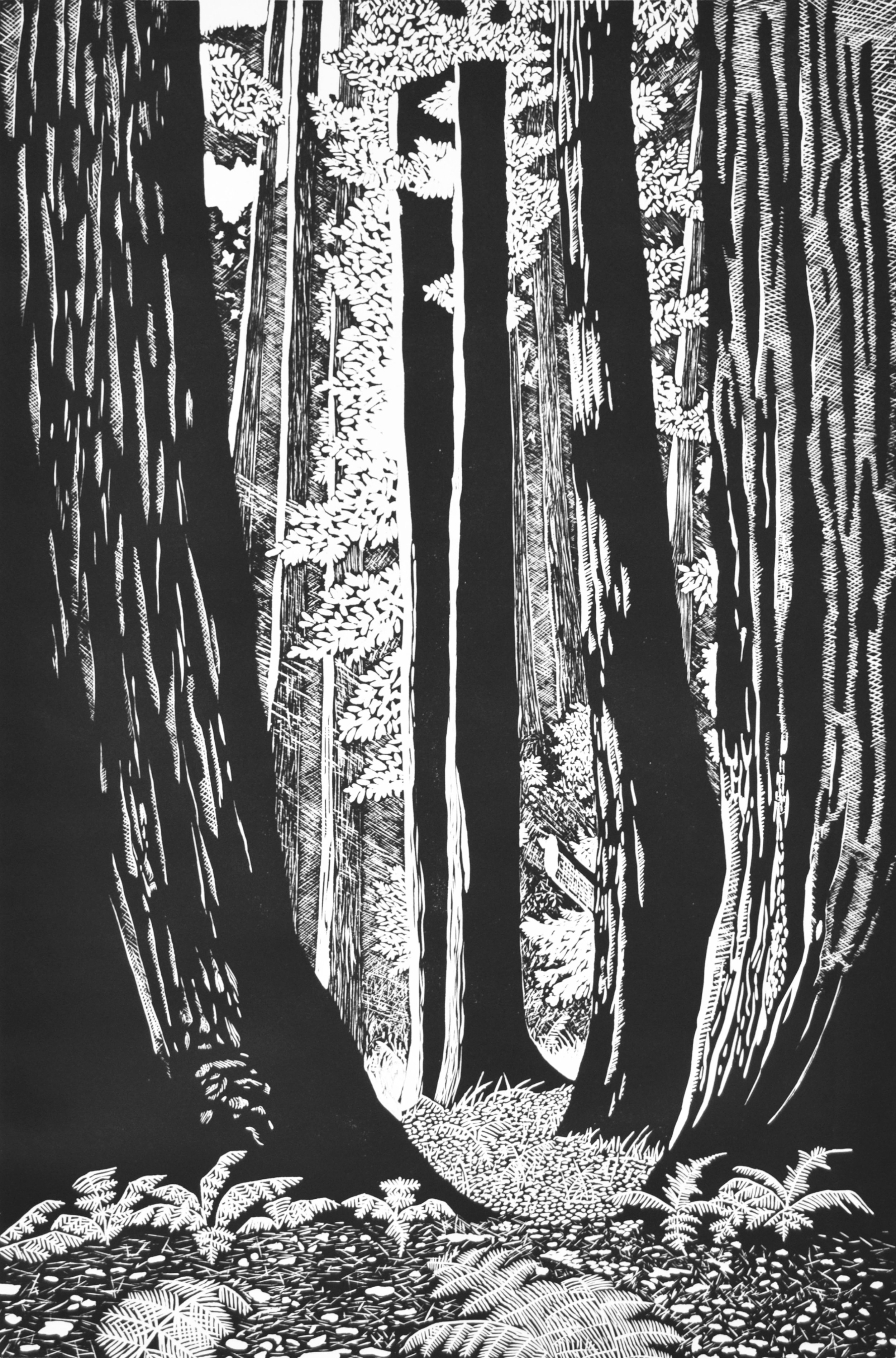 The Hidden Grove.jpeg