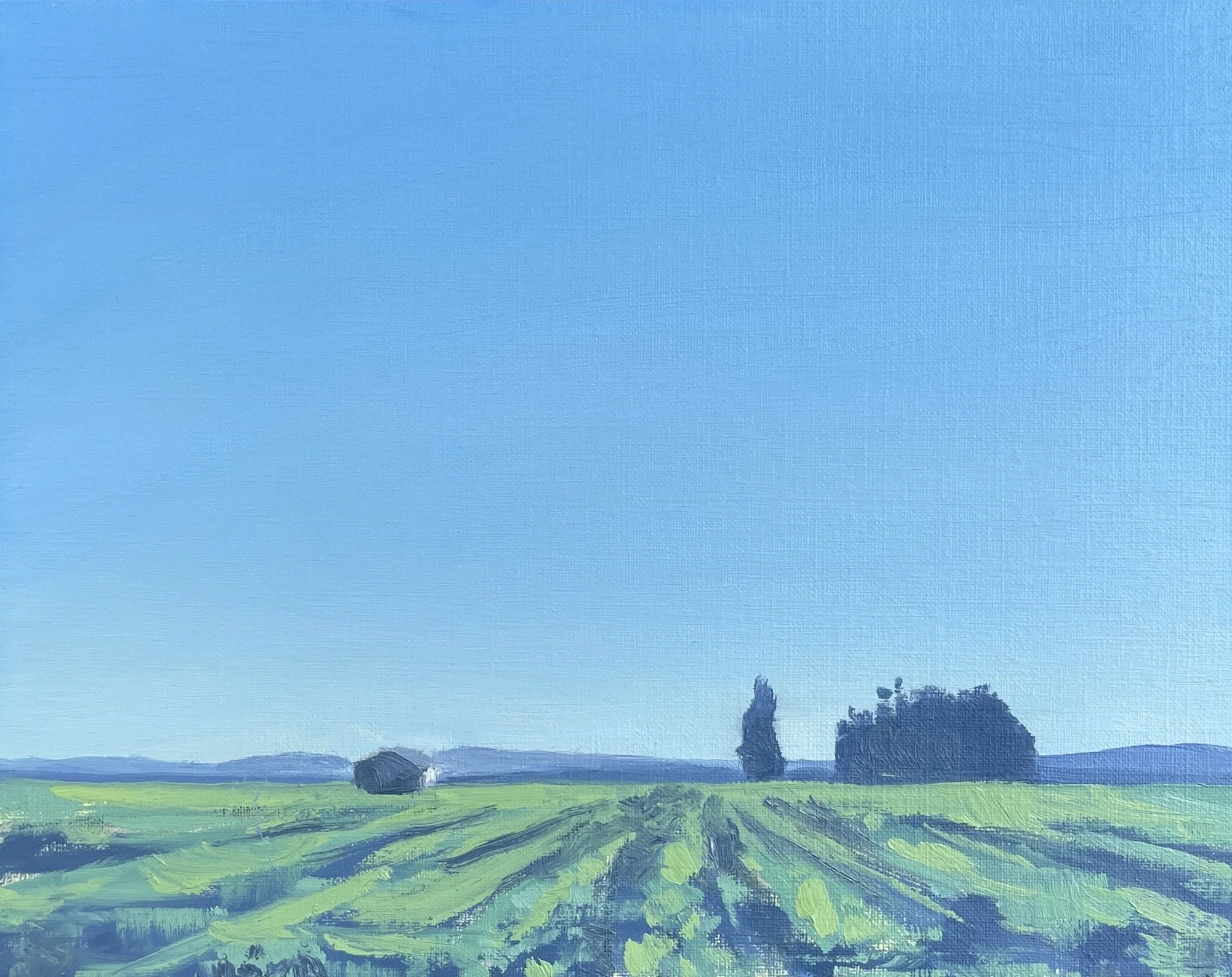 On the Road to Sausalito.jpg