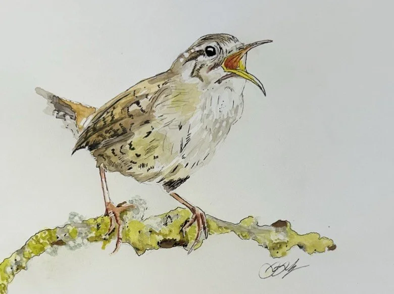 Beginning Watercolor