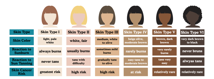 chart describing the different skin types and their characteristics