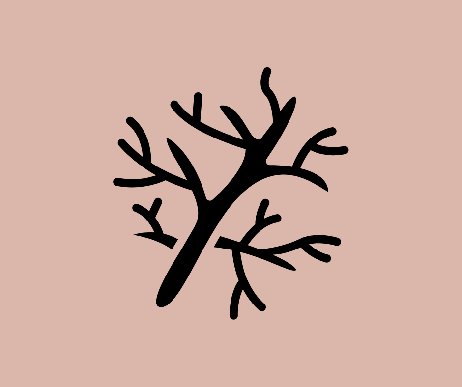 blood vessels that look like a tree