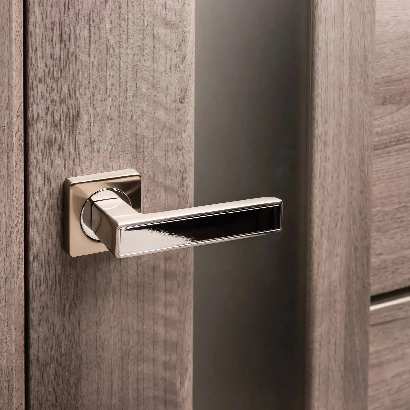 Close-up of a silver door handle on a wooden door.