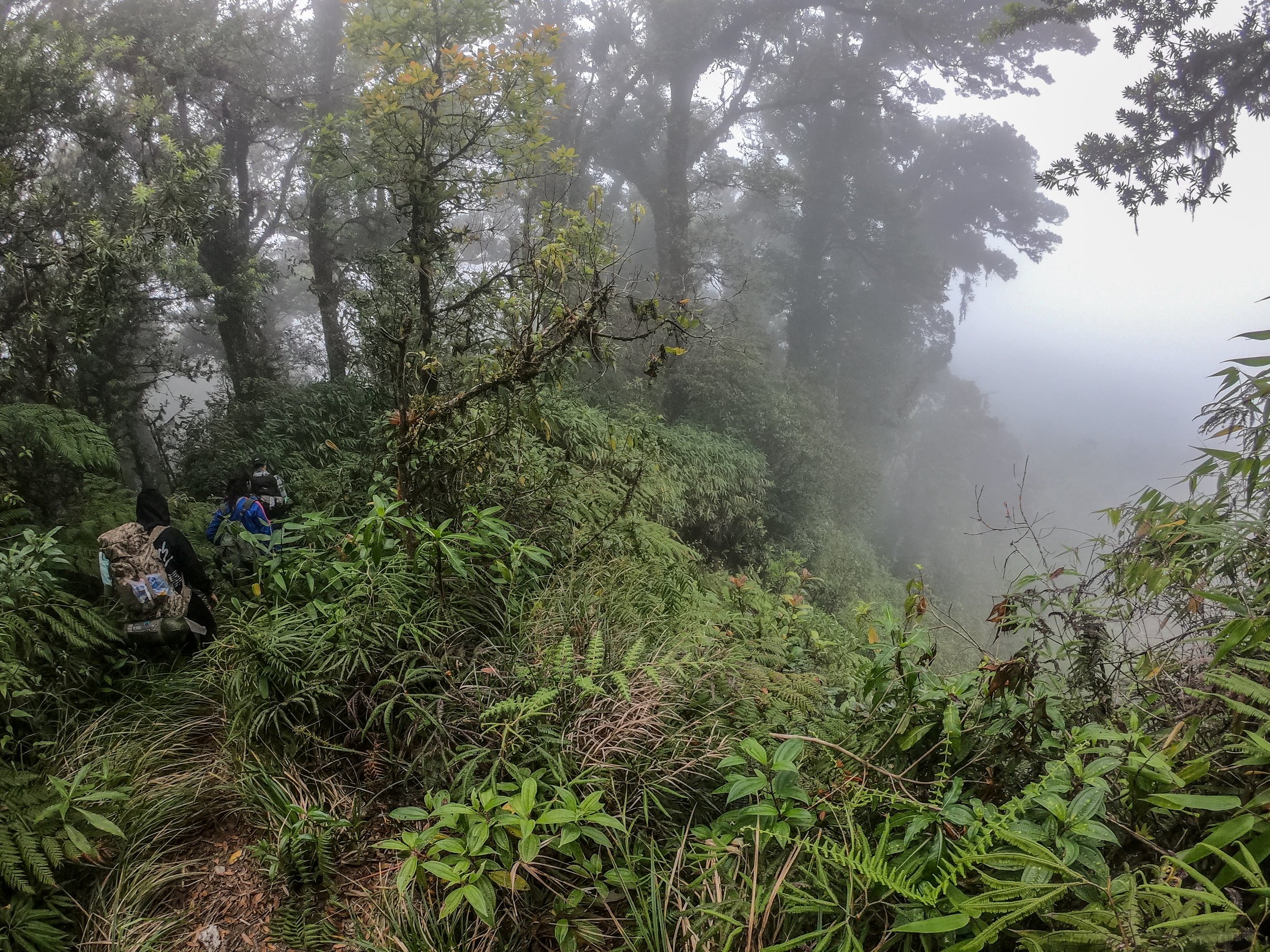 Caminata con Campamento al Cerro Mogoton