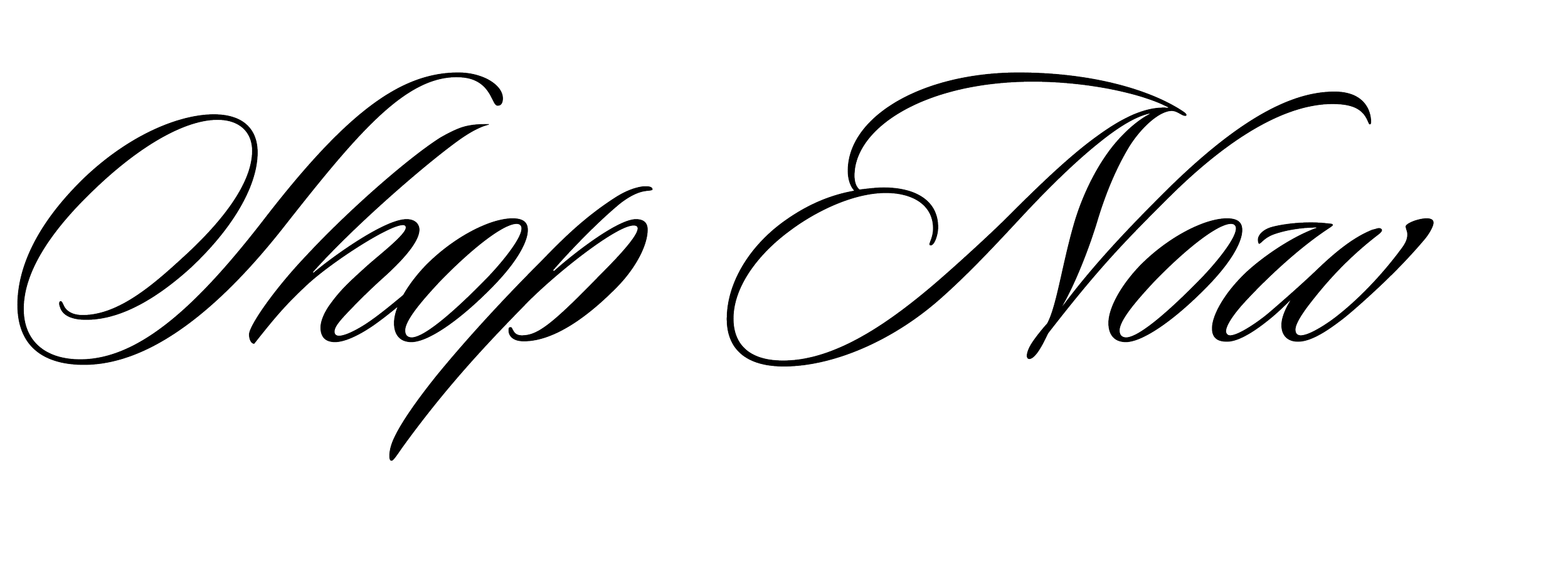 Stylized text reading 'Shop Now' in elegant cursive font.