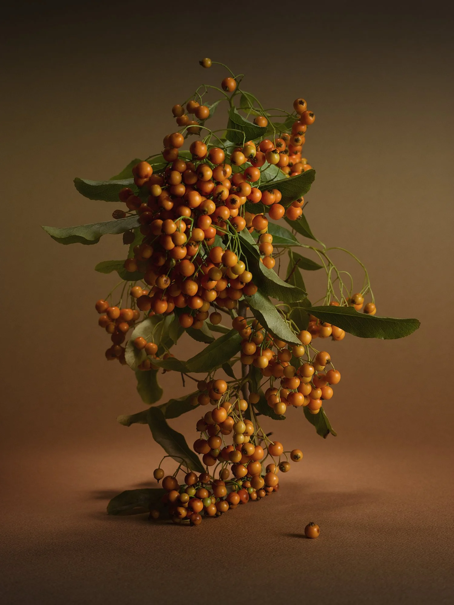 Cluster of orange berries with green leaves, arranged on a neutral background.