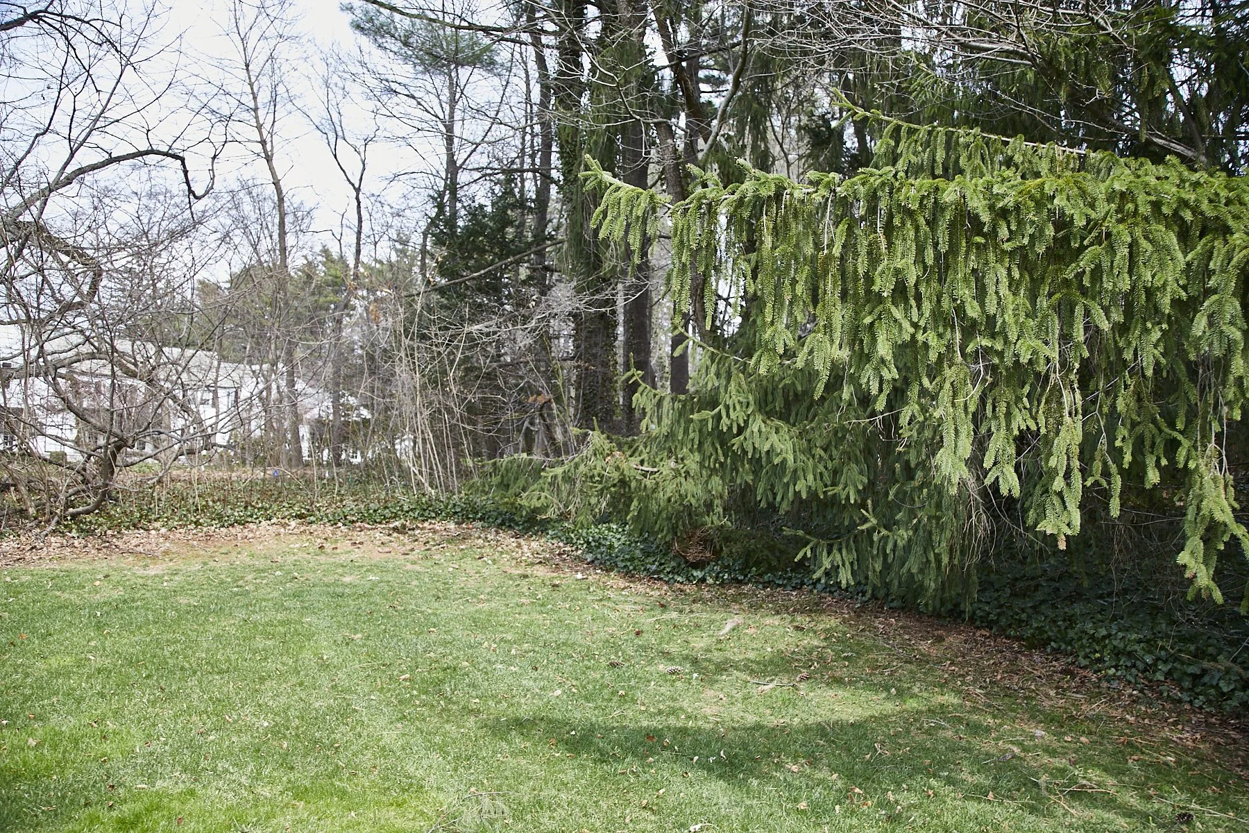 3 MEADOW SPRING LANE - GLEN COVE_135.jpg