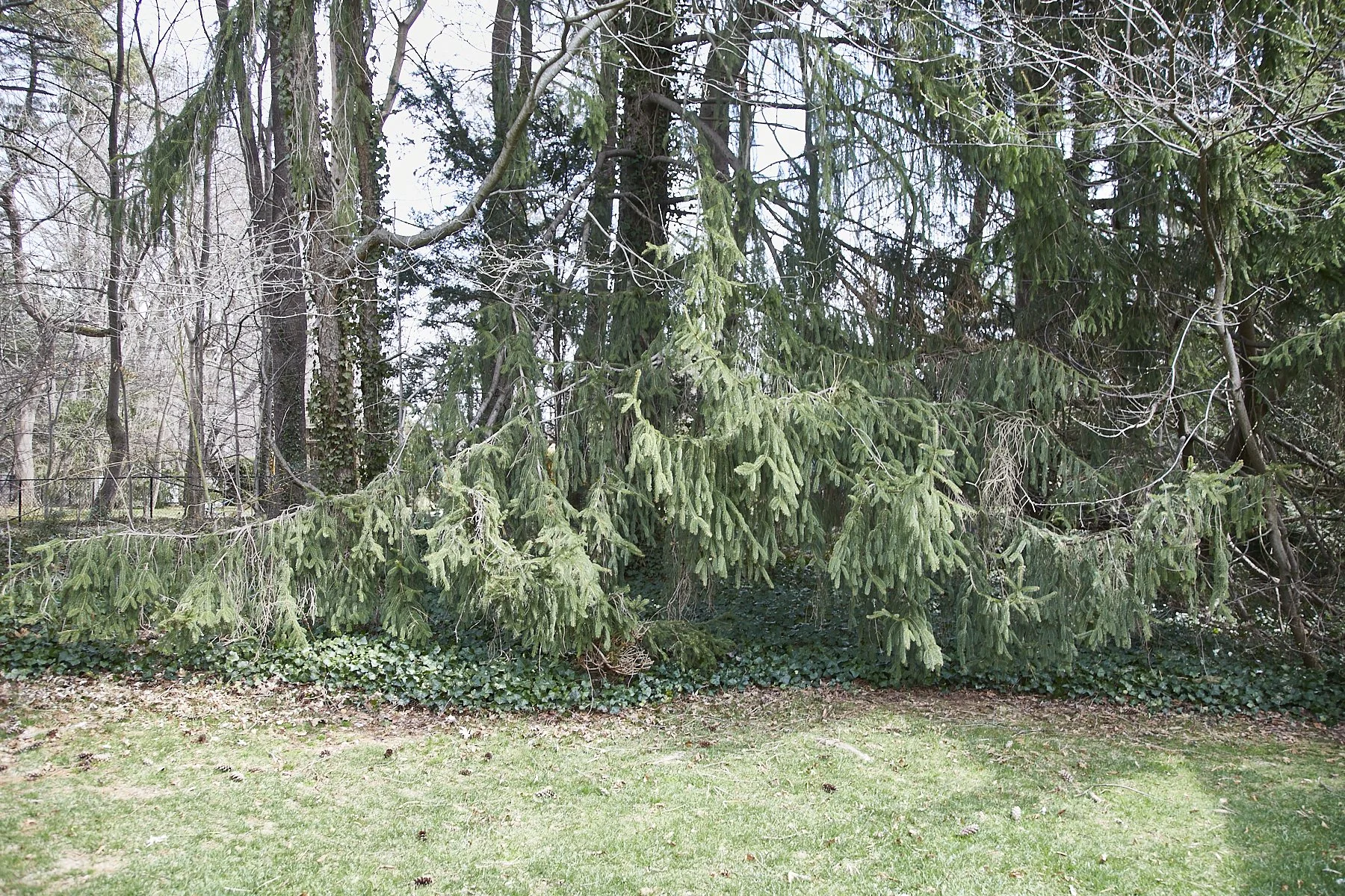 3 MEADOW SPRING LANE - GLEN COVE_106.jpg