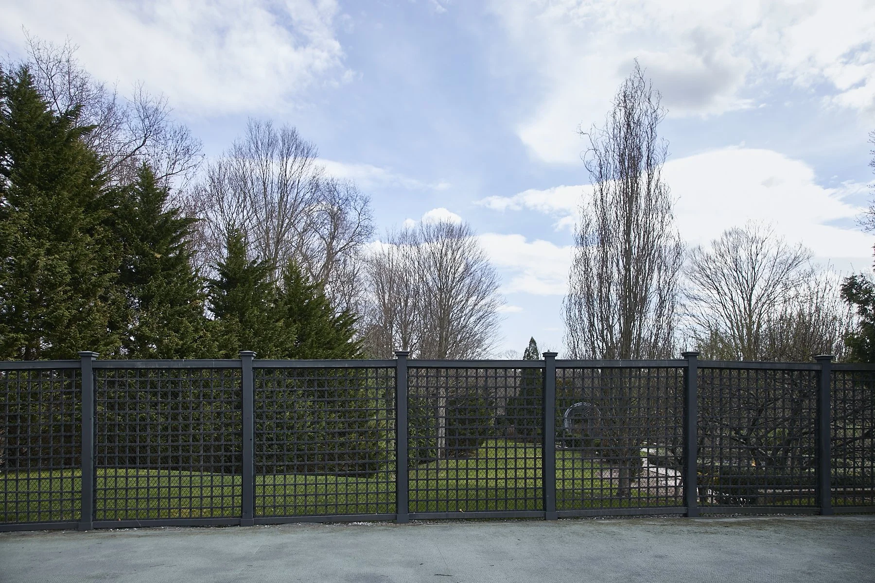 1985-4 Cedar Swamp , GLEN HEAD_86.jpg