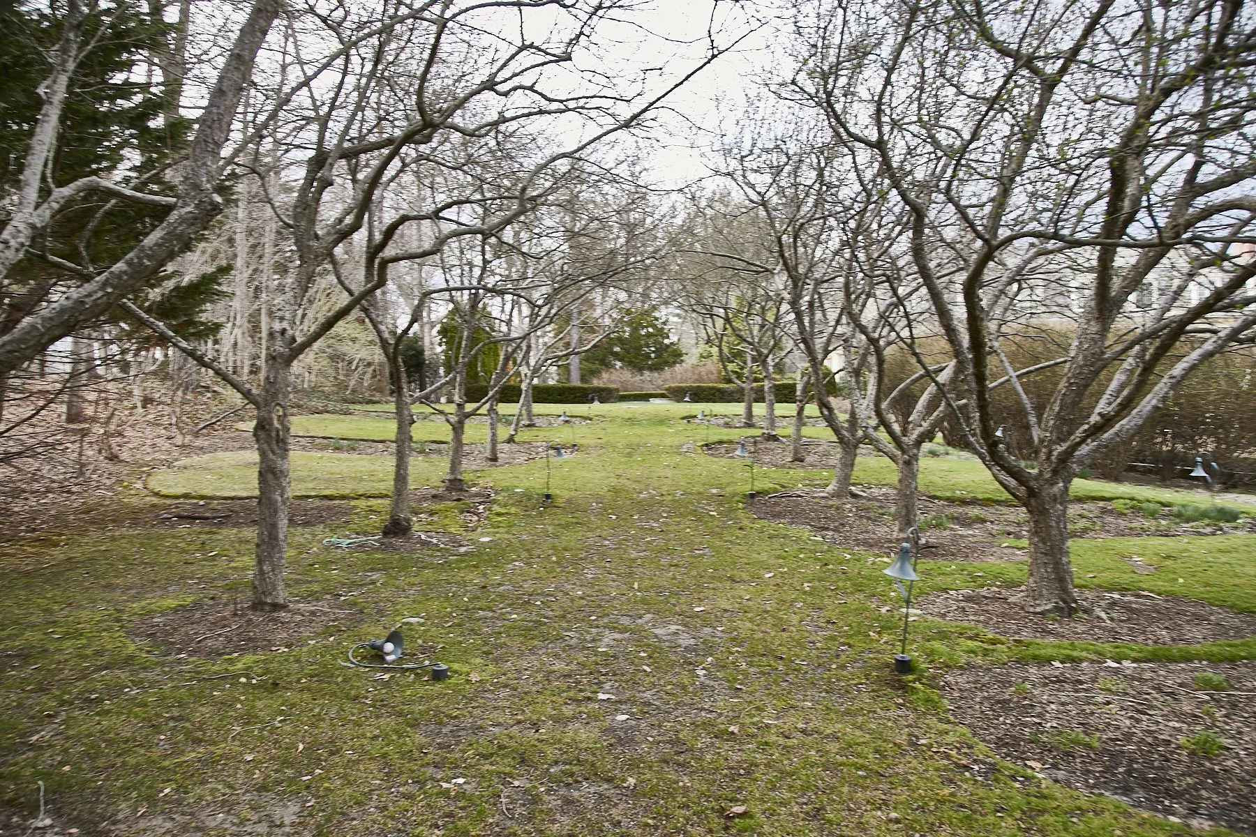 1985-4 Cedar Swamp , GLEN HEAD_267.jpg