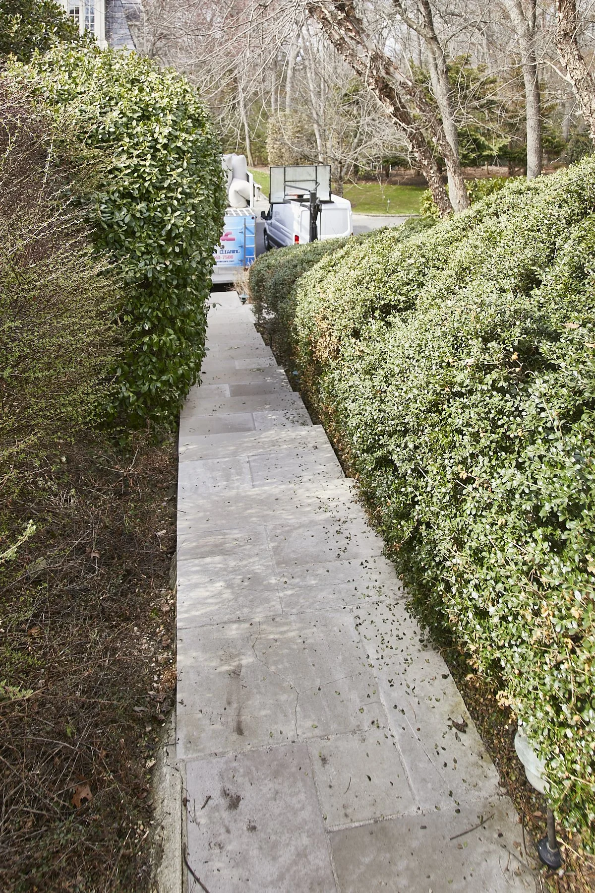 1985-4 Cedar Swamp , GLEN HEAD_225.jpg