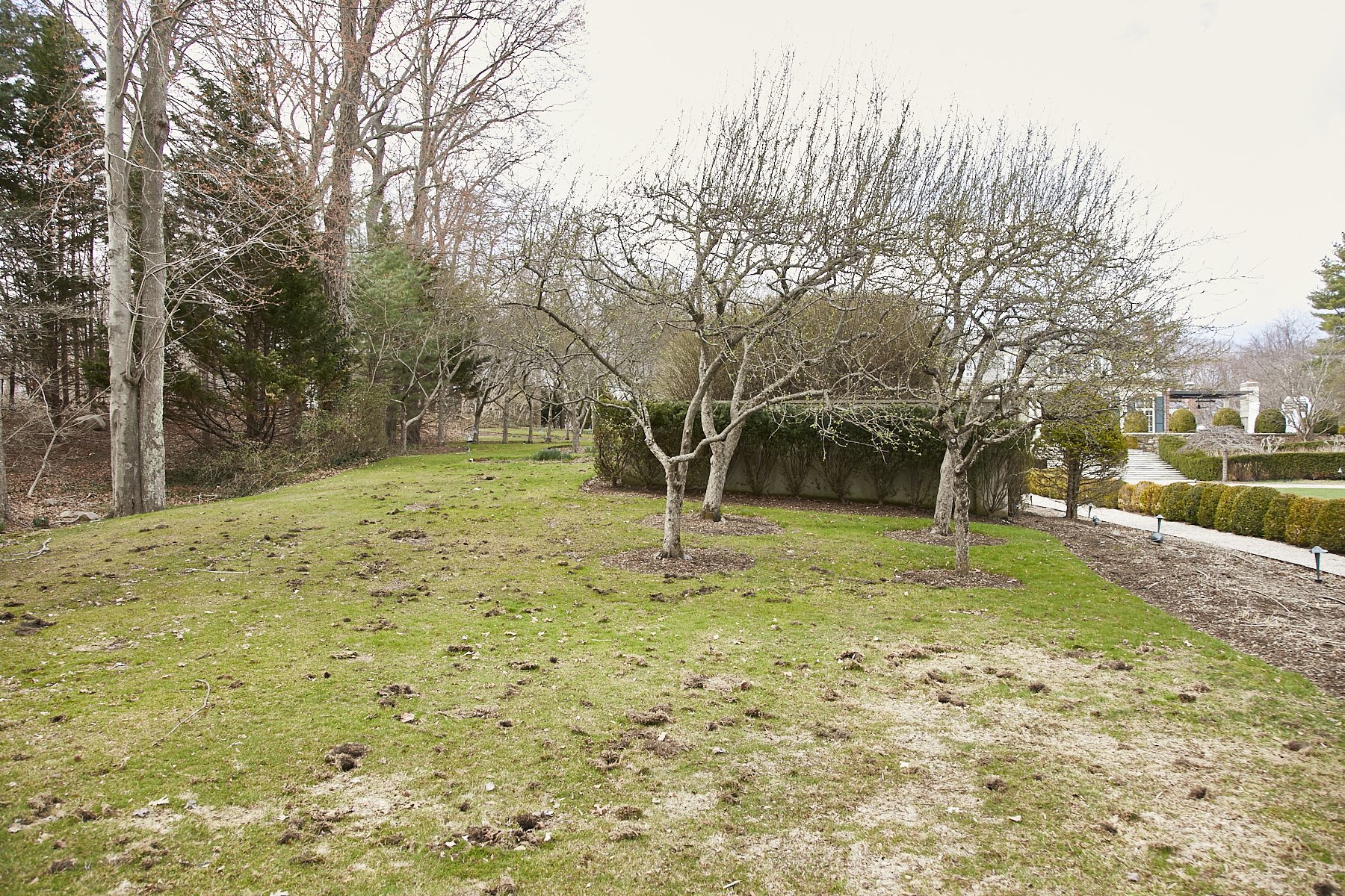 1985-4 Cedar Swamp , GLEN HEAD_164.jpg